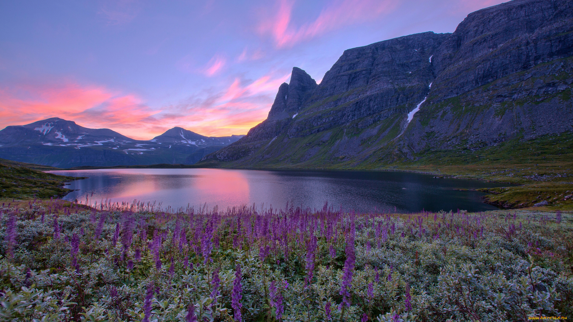 природа, реки, озера, norway, норвегия, озеро, горы, цветы, восход, пейзаж