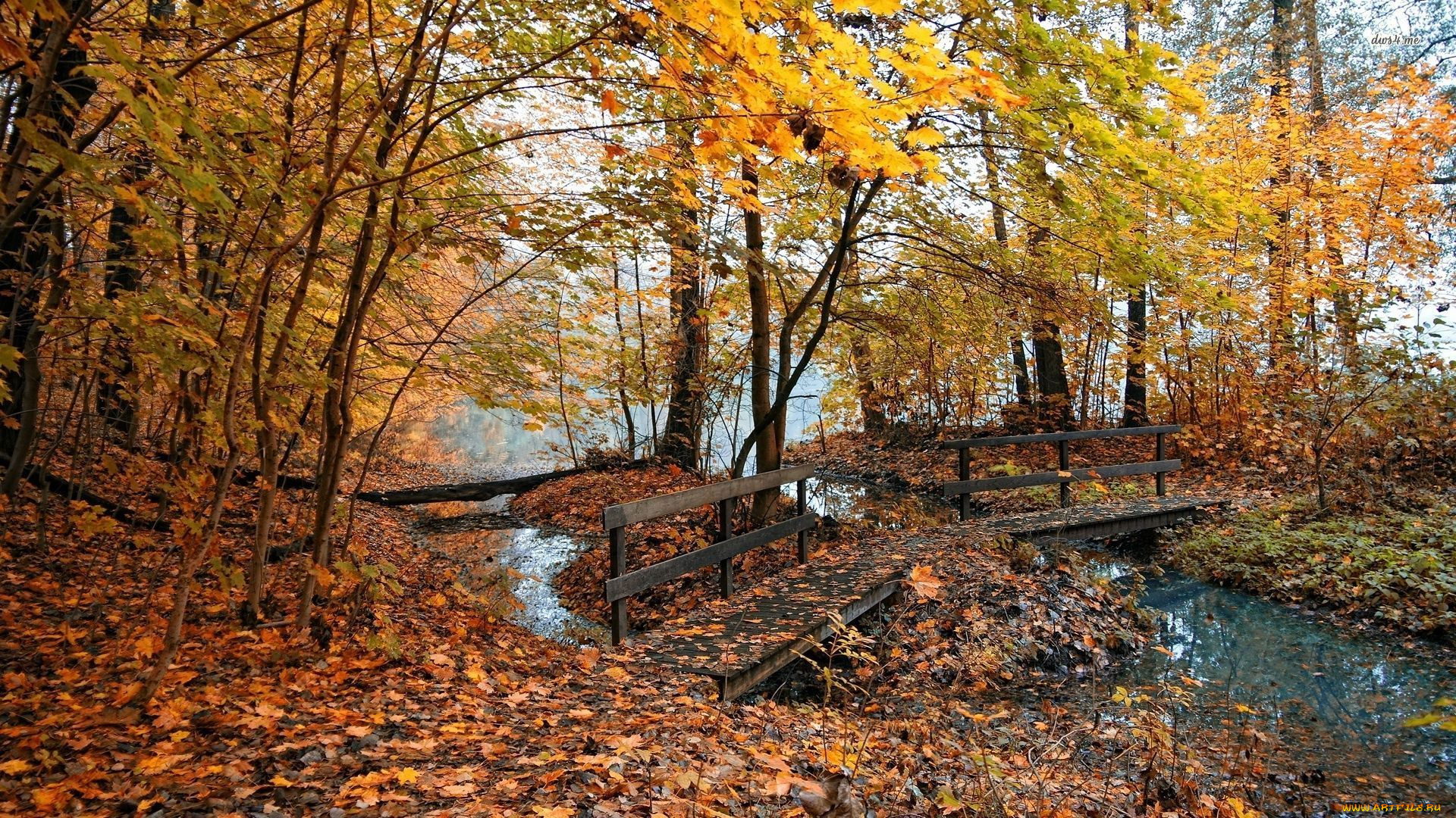 природа, реки, озера, речка, мостик, листва, осень