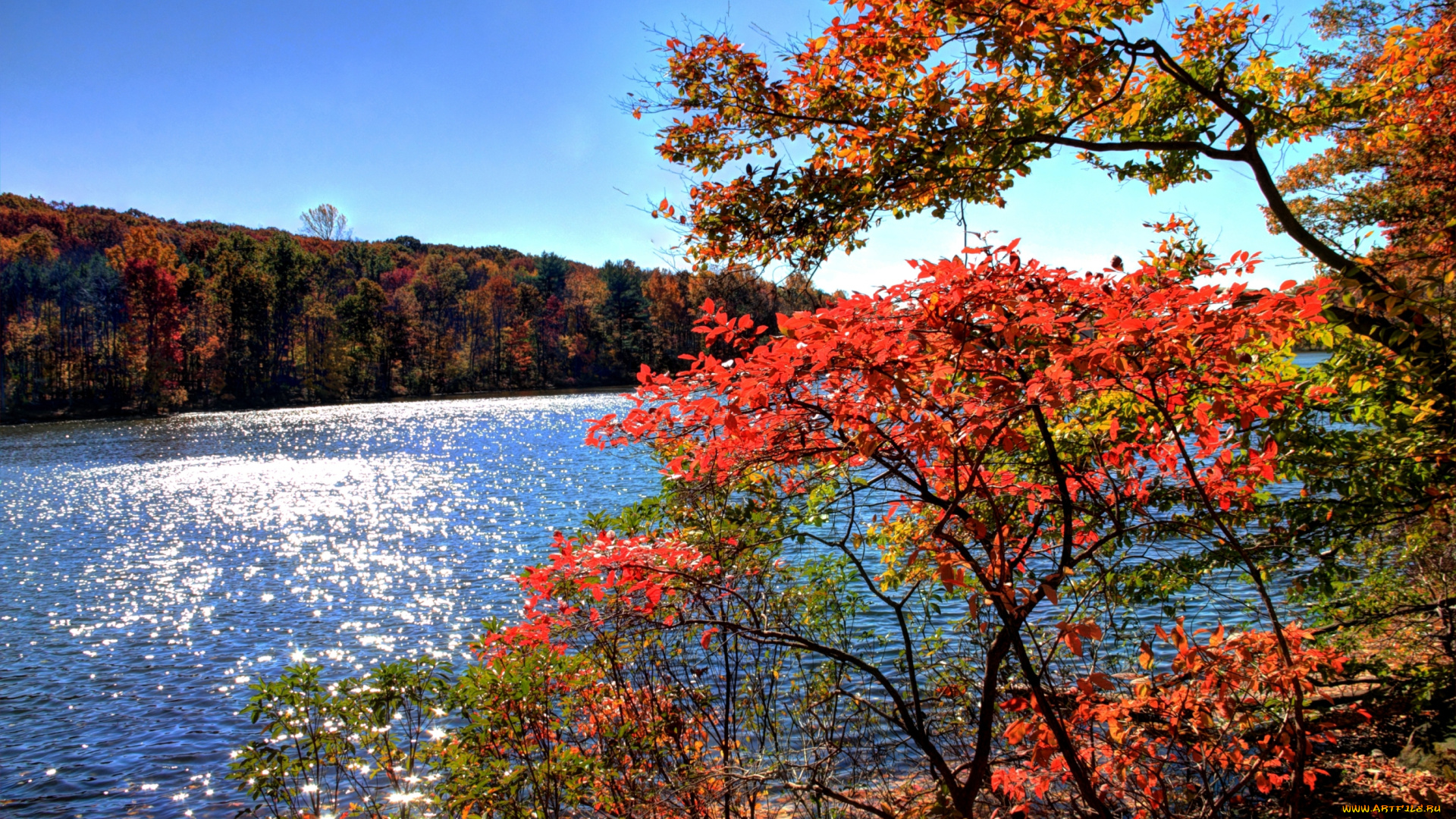 природа, реки, озера, вода, осень, деревья