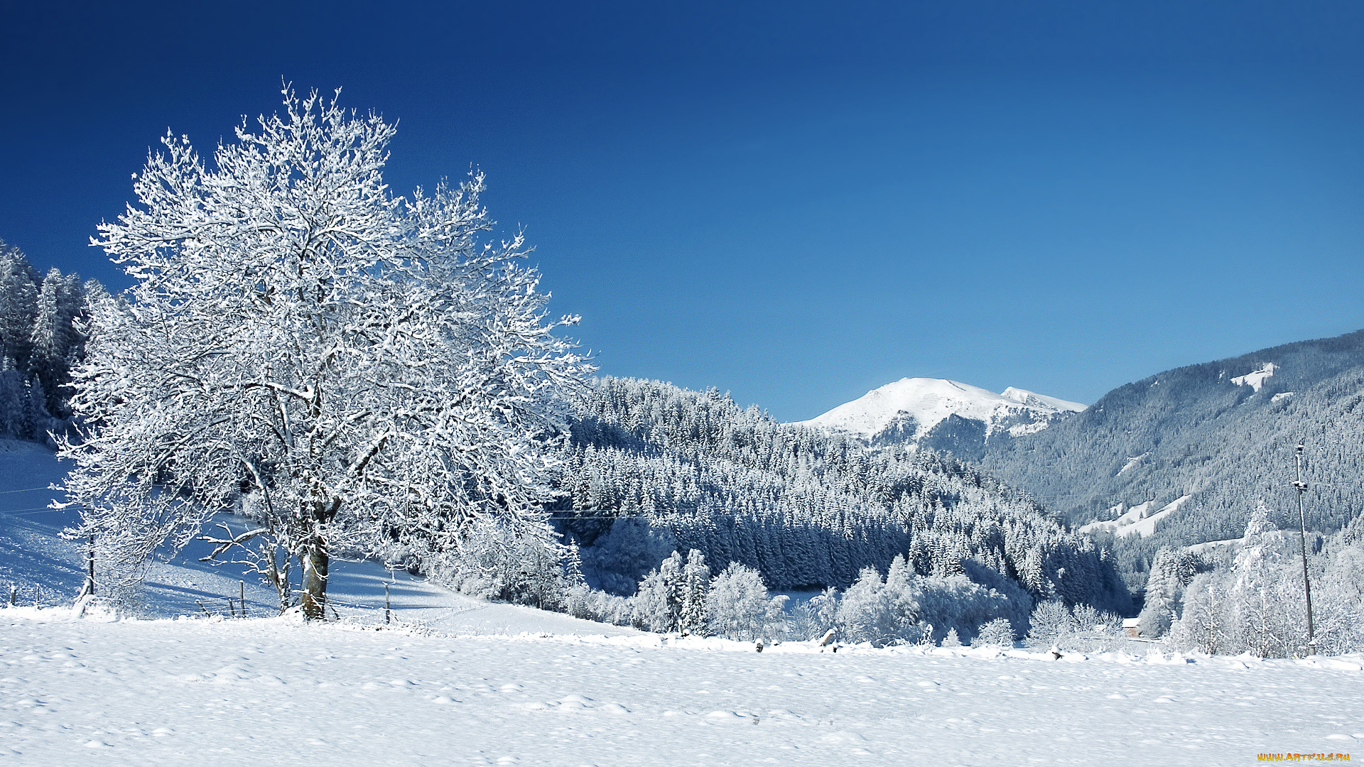 природа, зима, горы, снег