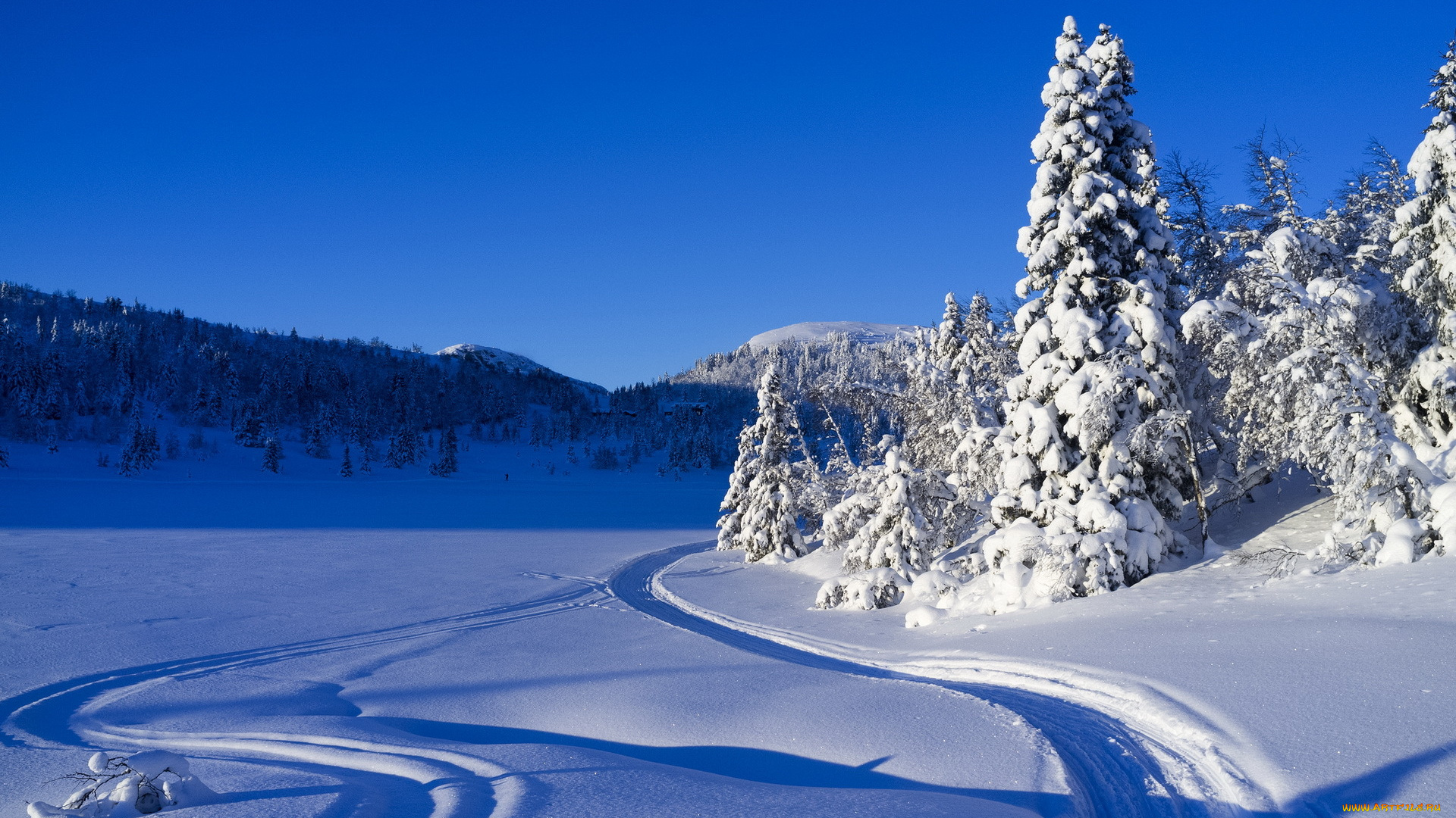 природа, зима, пейзаж, снег