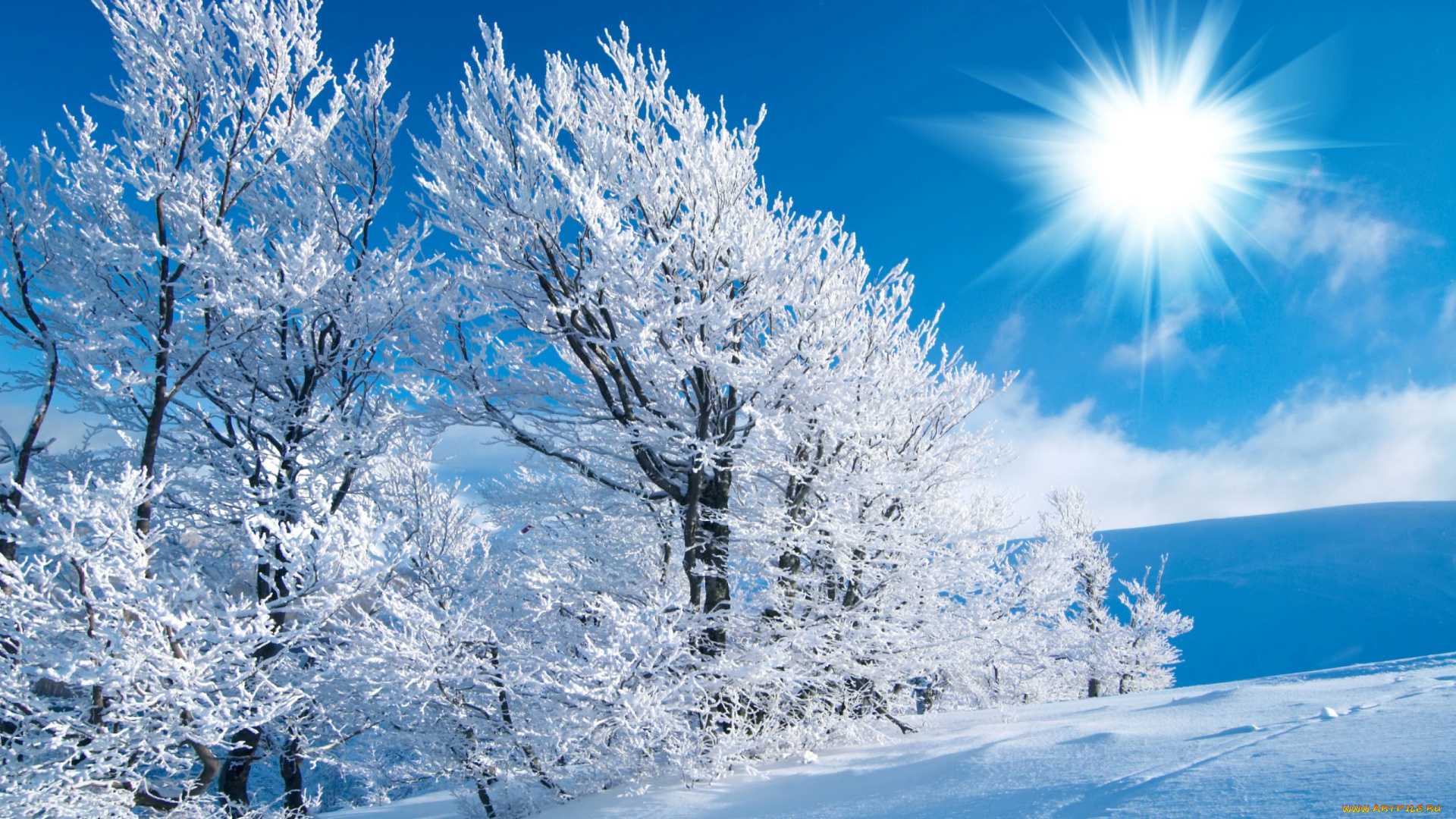 природа, зима, снег, солнце, деревья