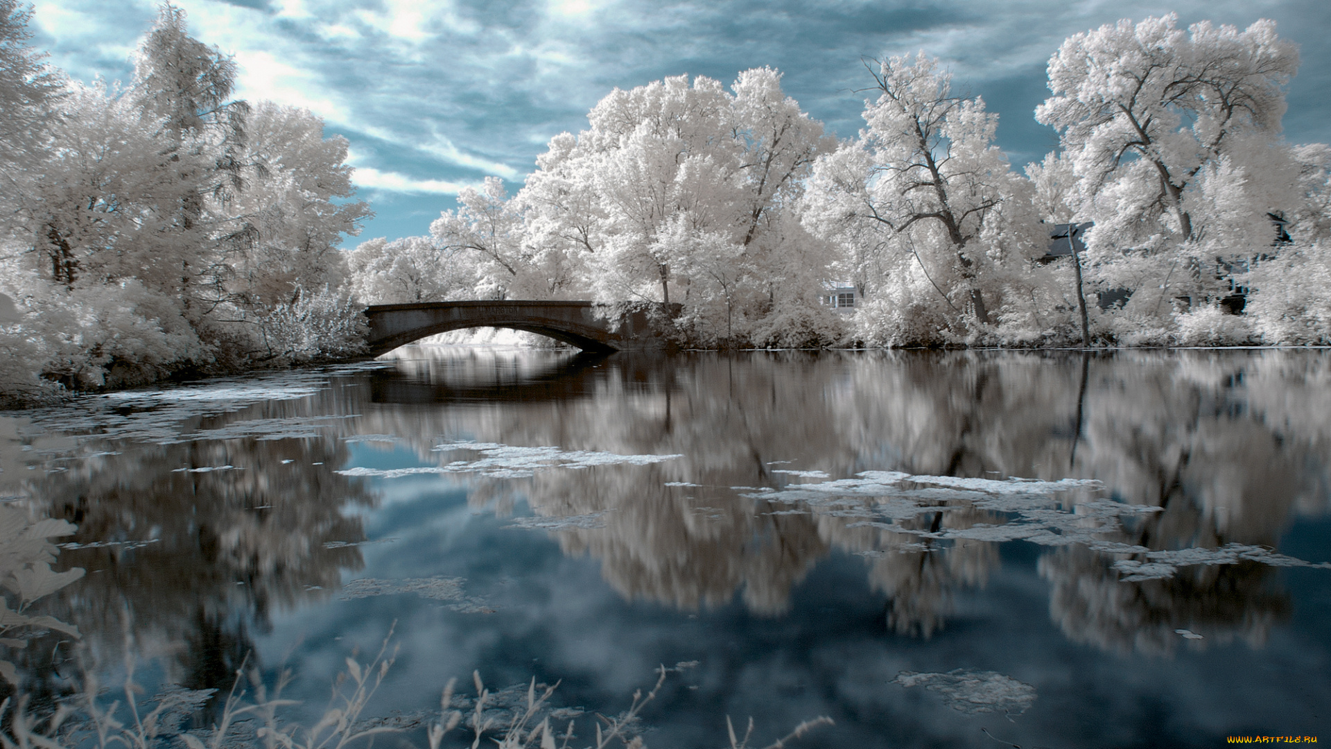 природа, зима, вода, мост, иней, деревья