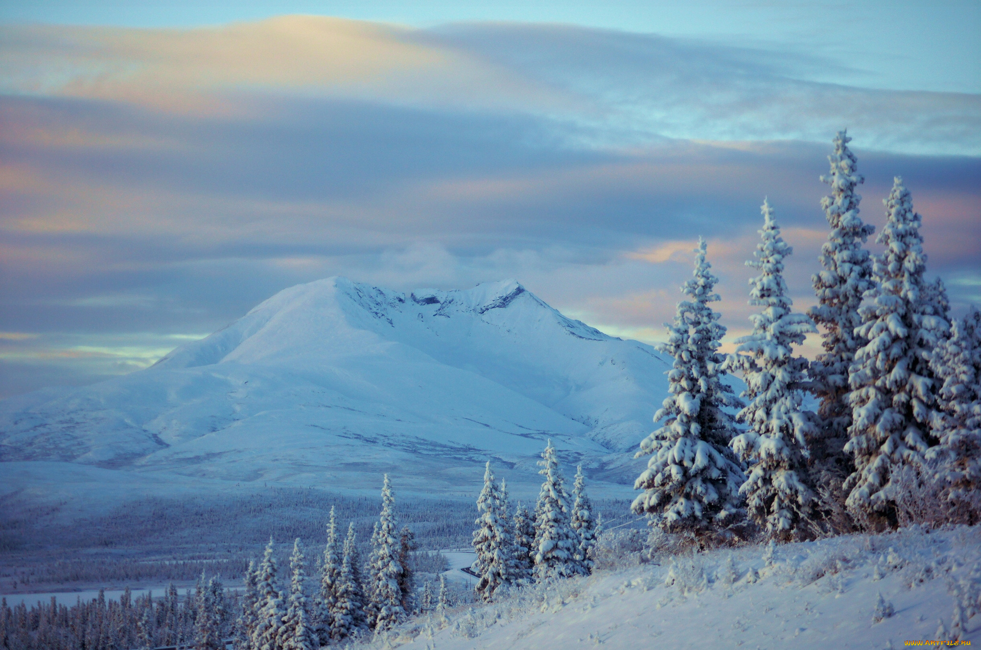 природа, зима, ели, alaska, аляска, снег, горы, деревья, пейзаж