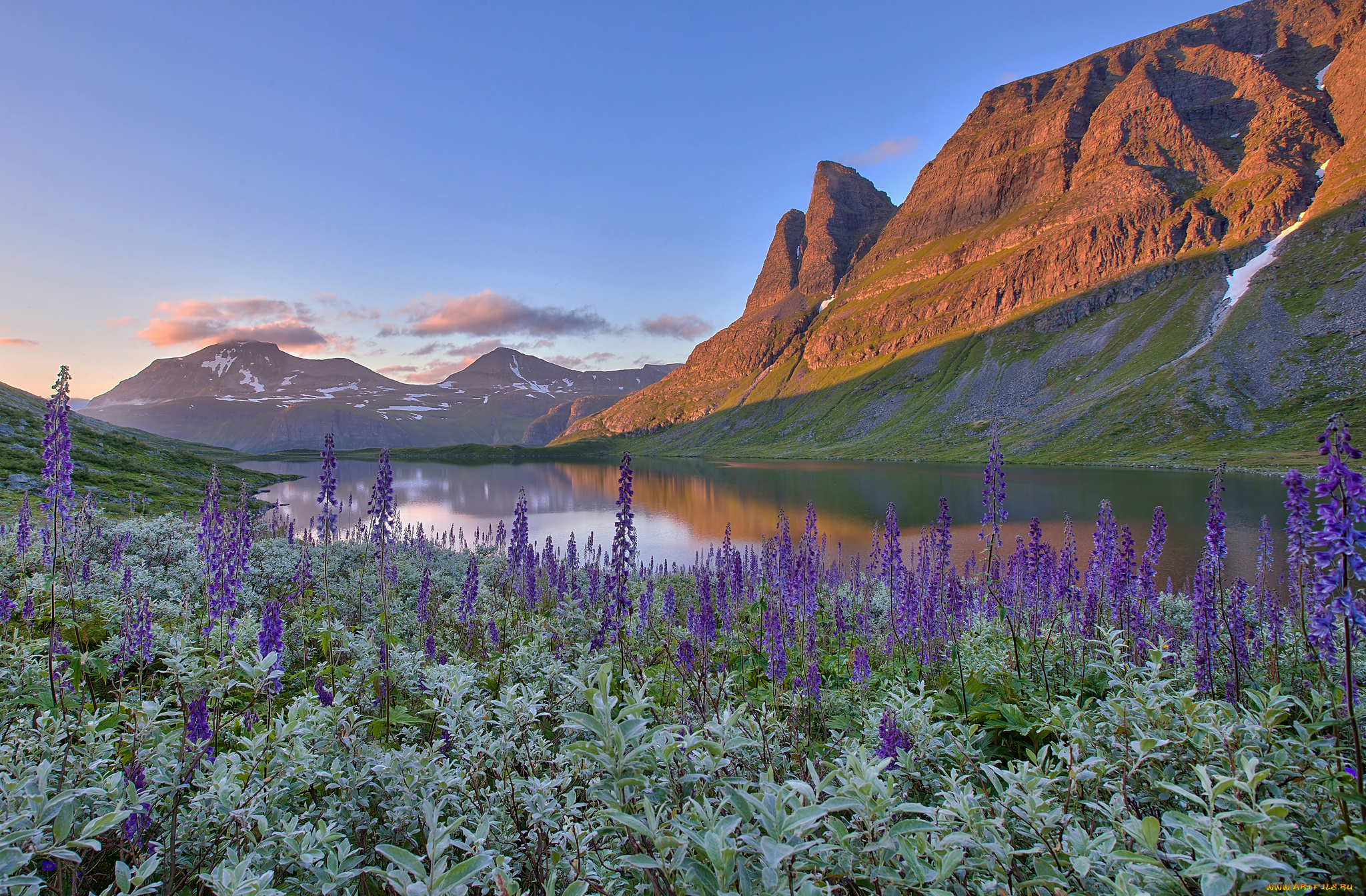 природа, реки, озера, горы, norway, норвегия, озеро, цветы, пейзаж
