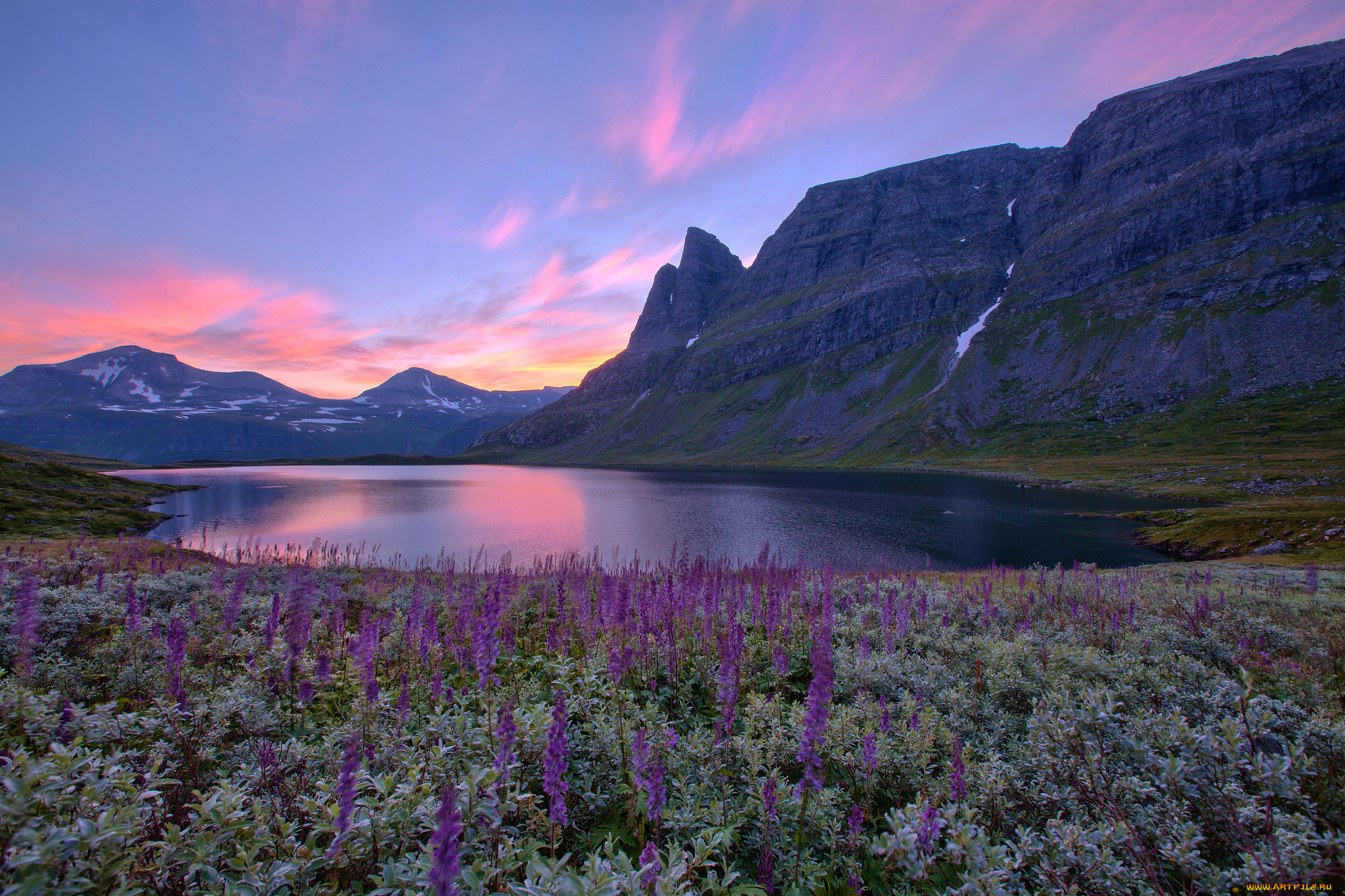 природа, реки, озера, norway, норвегия, озеро, горы, цветы, восход, пейзаж
