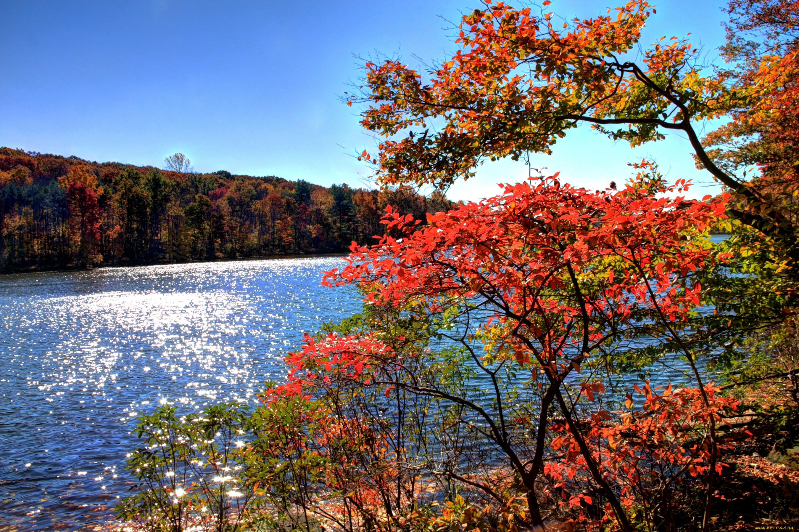 природа, реки, озера, вода, осень, деревья