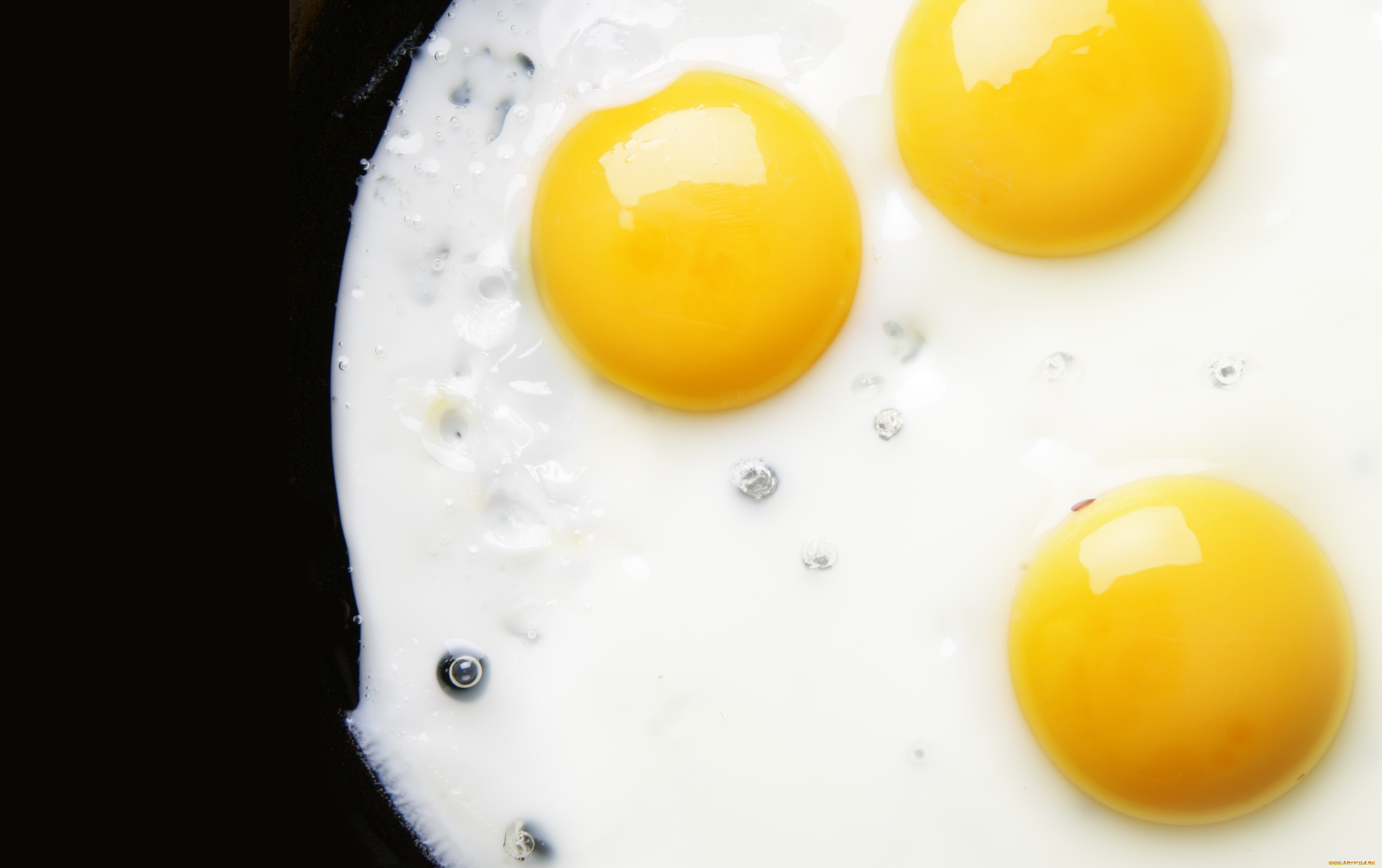 еда яйца графика планеты food eggs graphics planet без смс