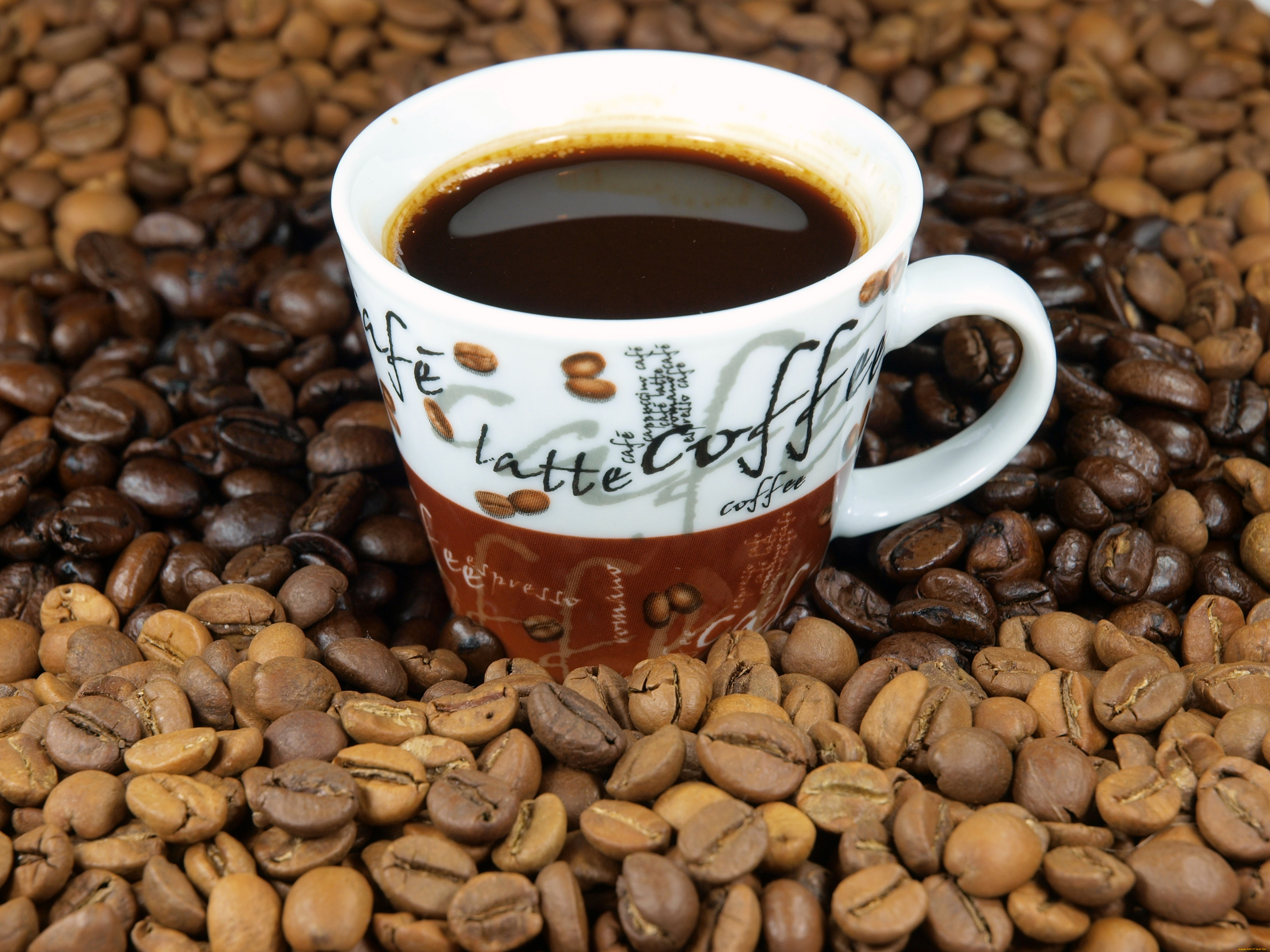 Что такое кава. Кофе. Кружка кофе. Ароматный кофе. Кофейный напиток.