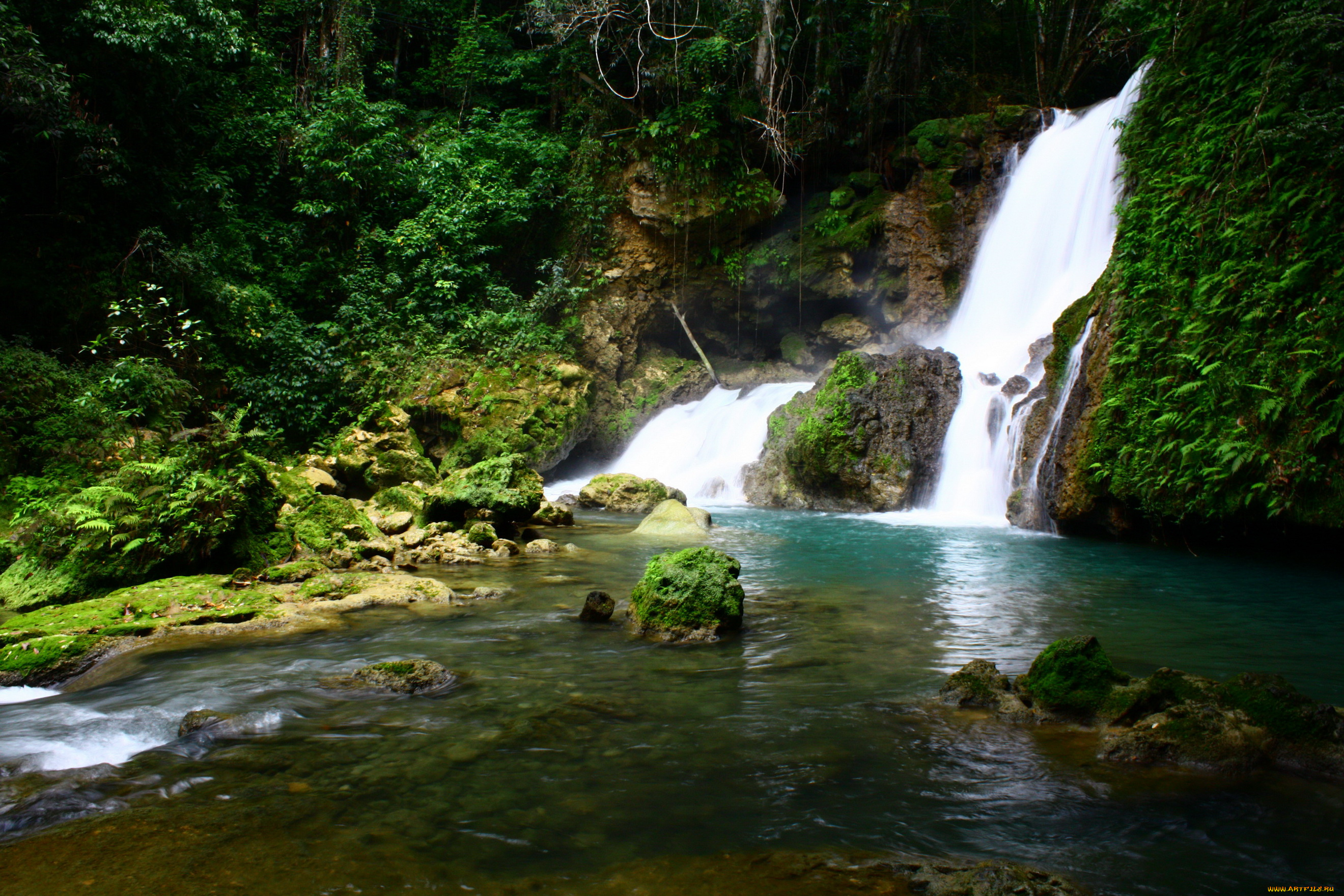 ys, falls, , jamaica, природа, водопады, река, ямайка, водопад