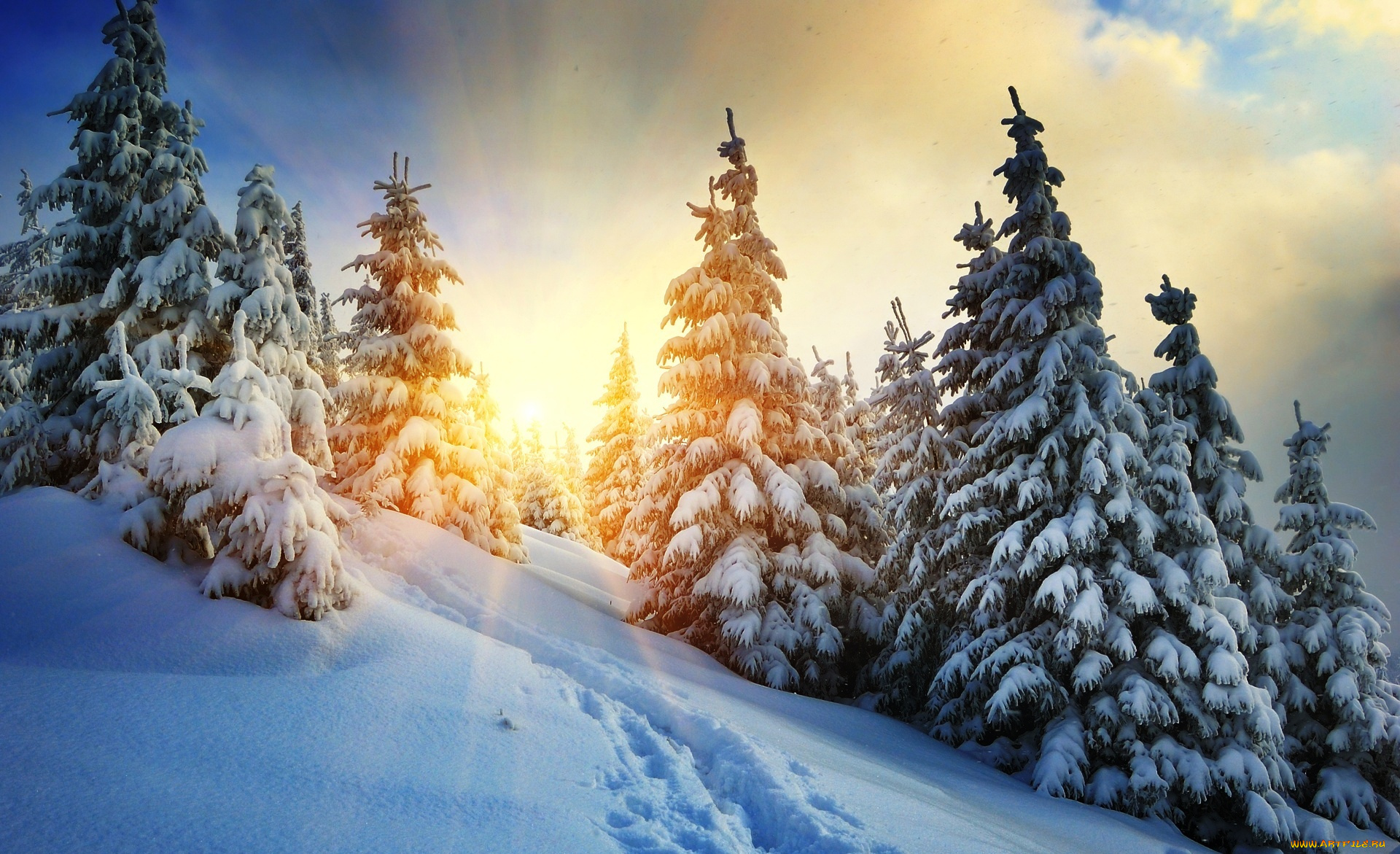 природа, зима, солнце, деревья, горы, снег, лес, облака, карпаты, следы