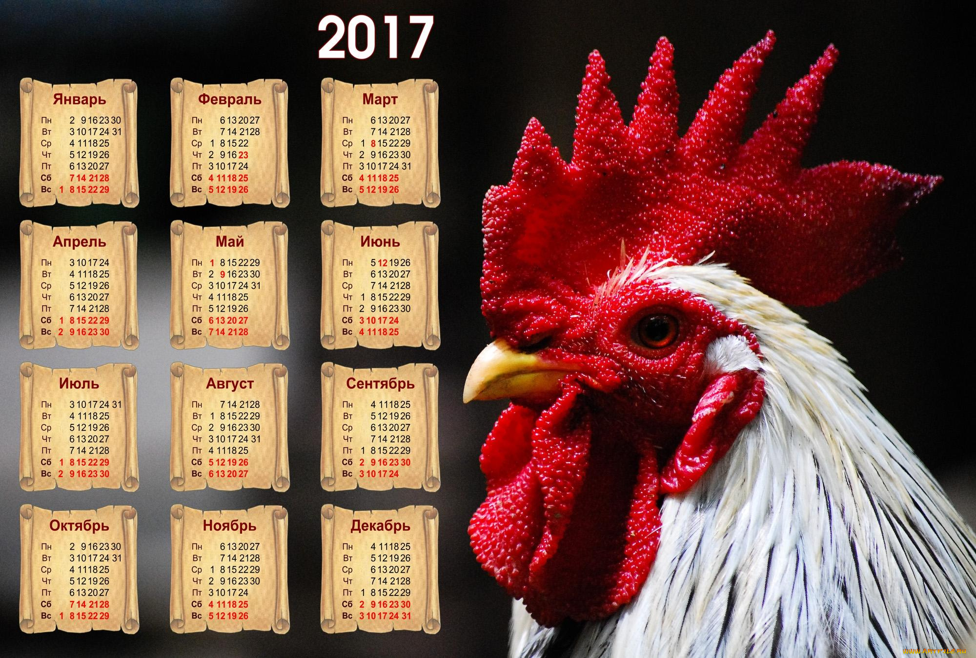 календари, животные, петух