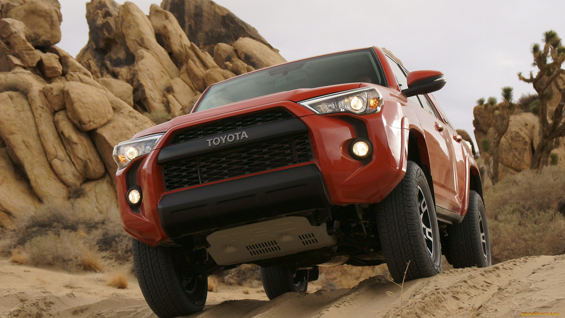 trd, toyota, 4runner, pro, 2014, автомобили, toyota, внедорожник, 2014, pro, 4runner, trd