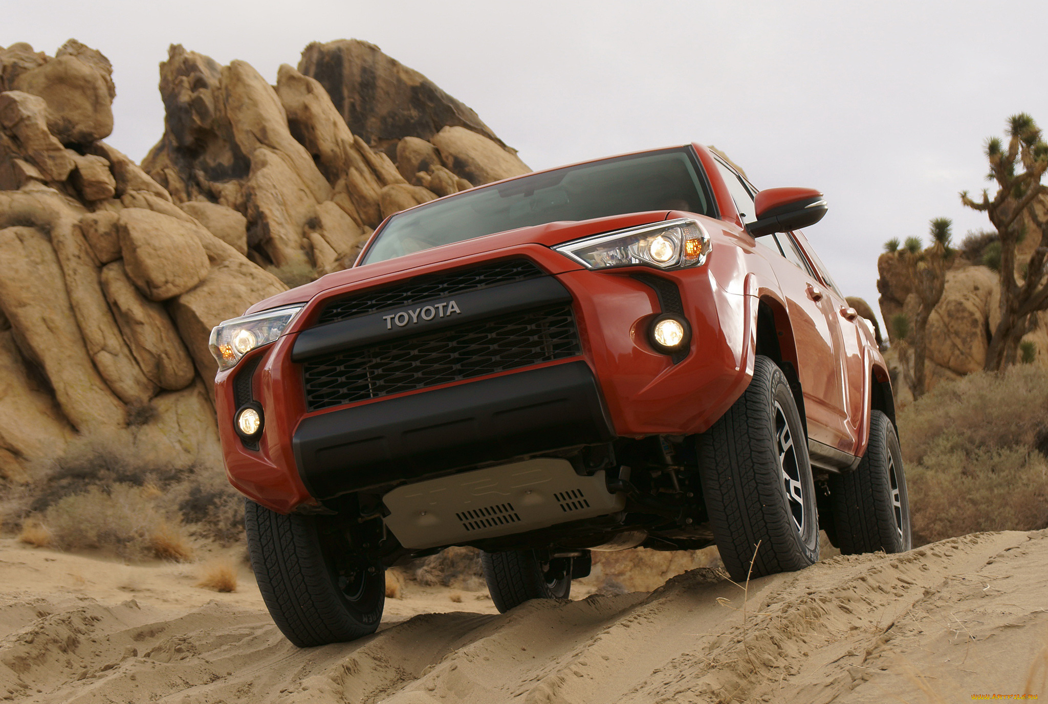 trd, toyota, 4runner, pro, 2014, автомобили, toyota, внедорожник, 2014, pro, 4runner, trd