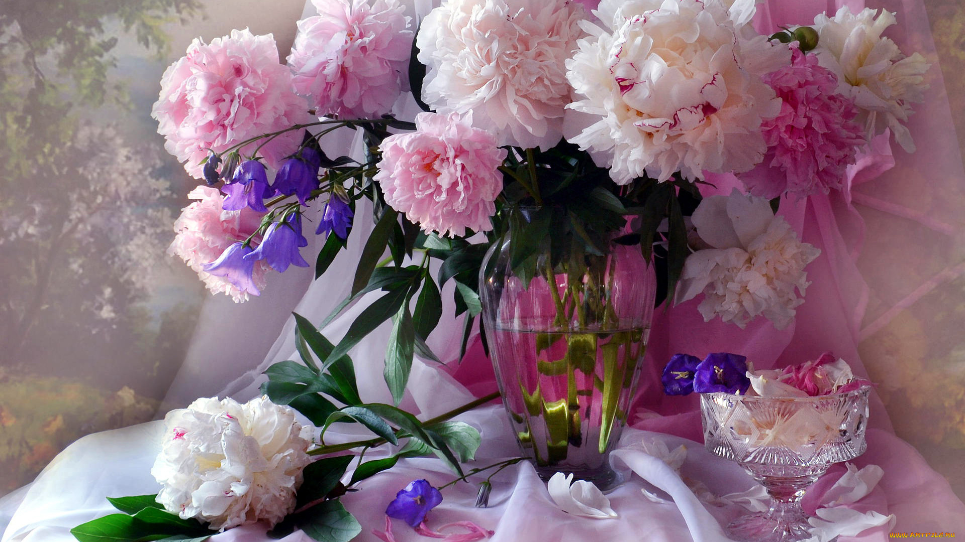 цветы, пионы, букет, розовые, белые, ваза
