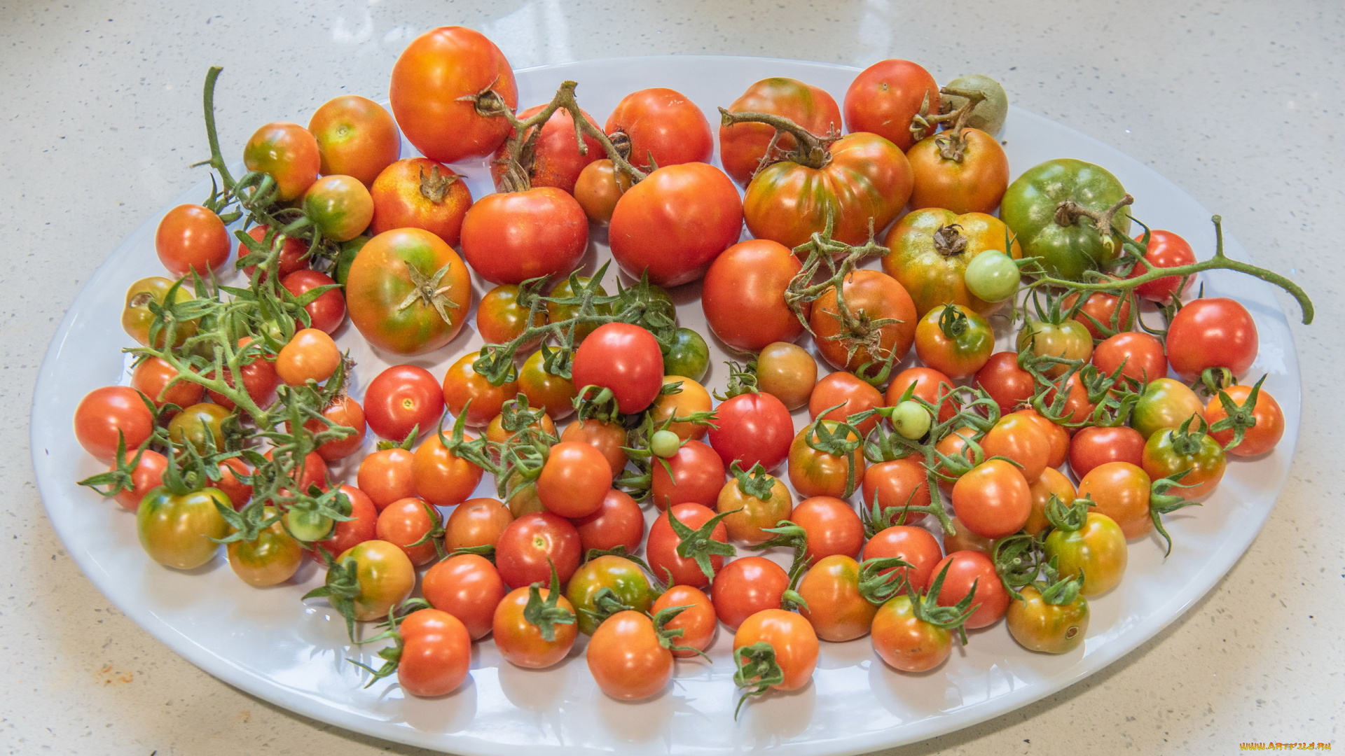еда, помидоры, ассорти, много, урожай