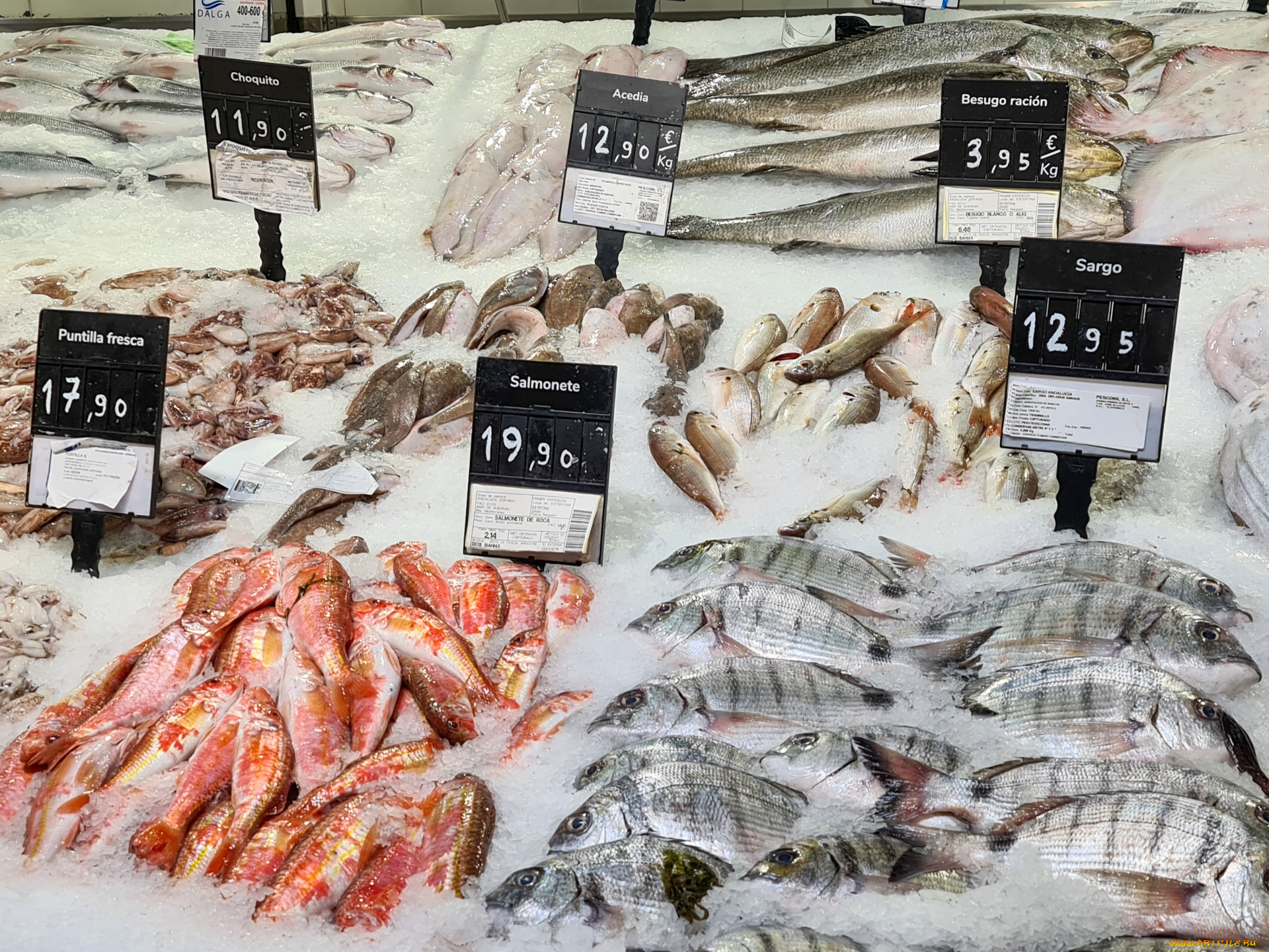 еда, рыба, , морепродукты, , суши, , роллы, лед, свежая, ценники