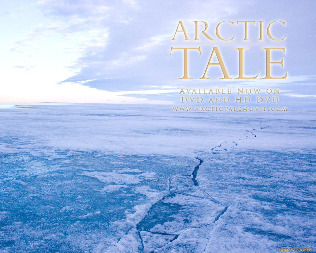 arctic, tale, кино, фильмы