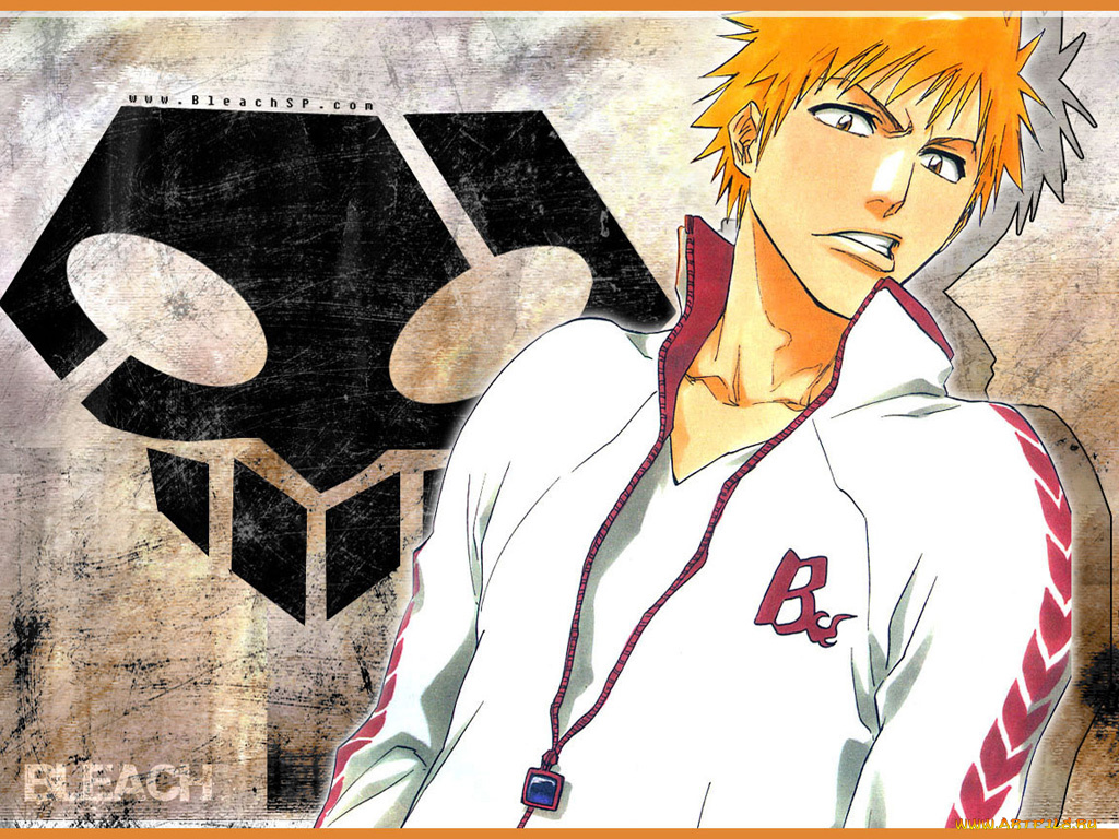 аниме, bleach