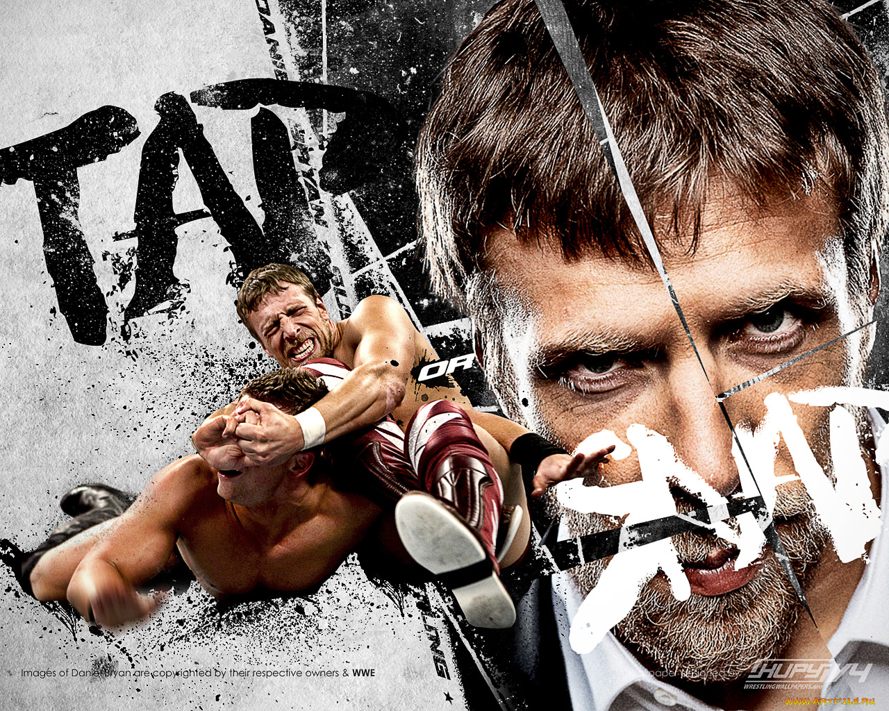 спорт, wwe