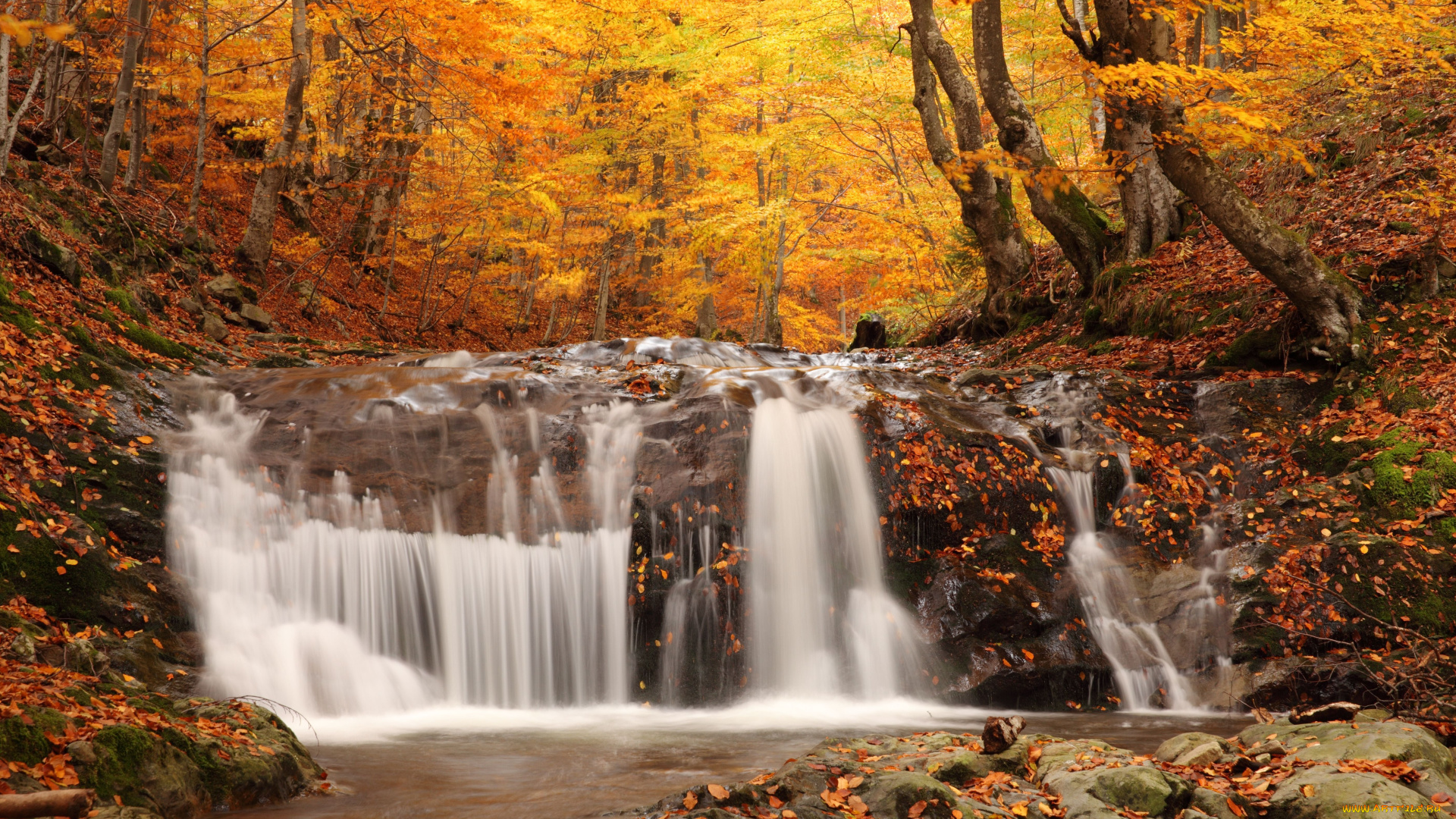 природа, водопады, водопад, деревья, листва, осень