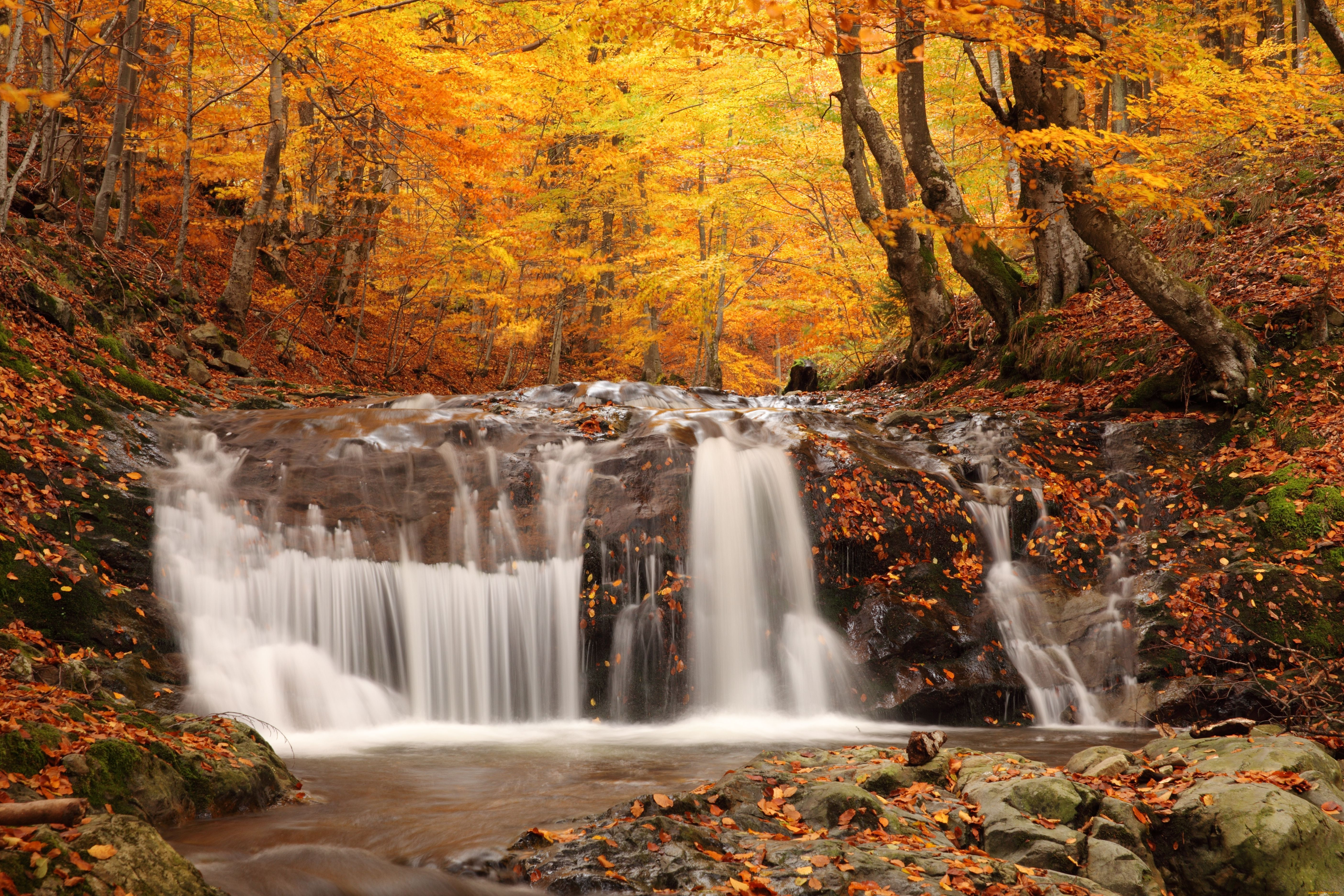 природа, водопады, водопад, деревья, листва, осень