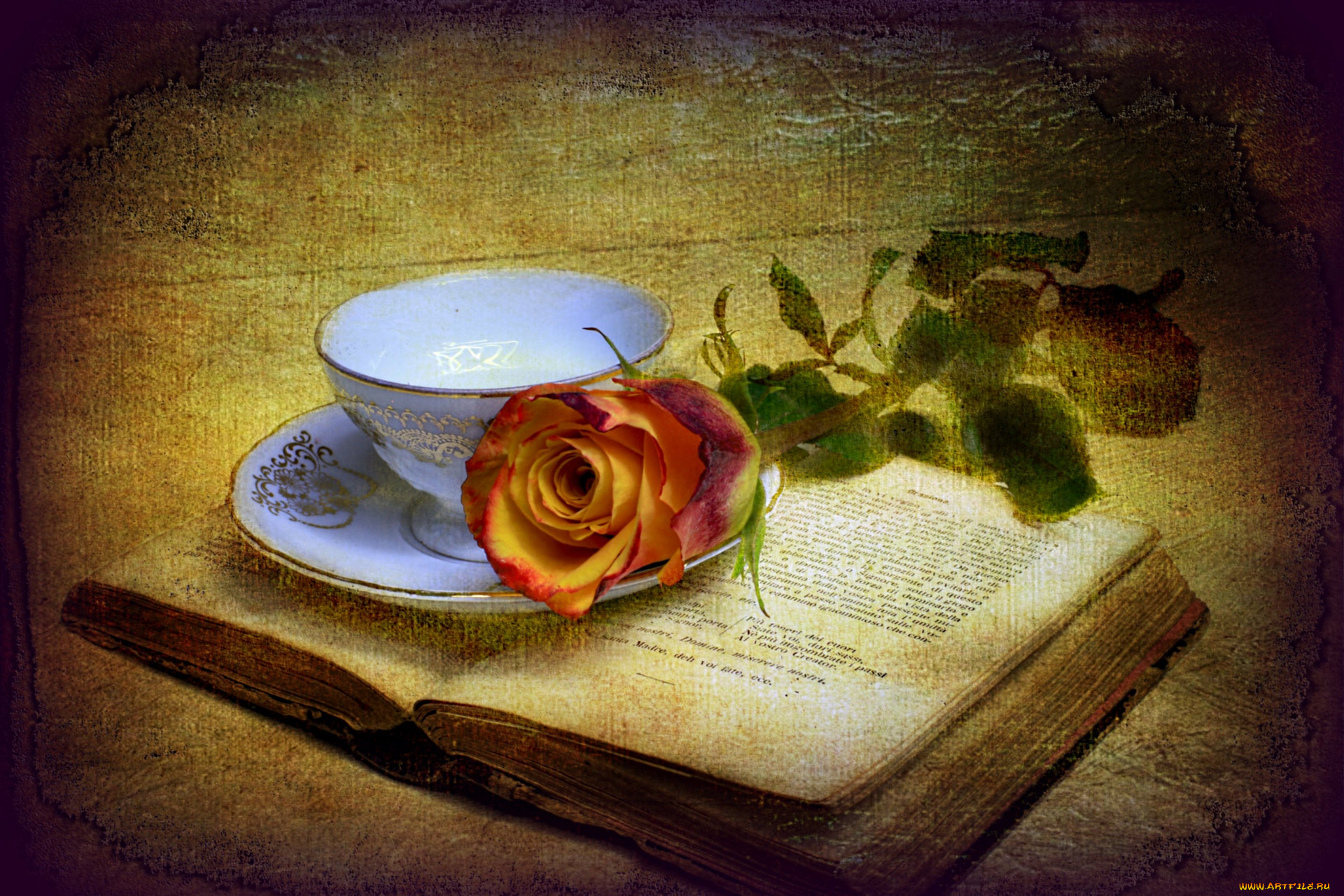 цветы, розы, книга, чашка, текстура
