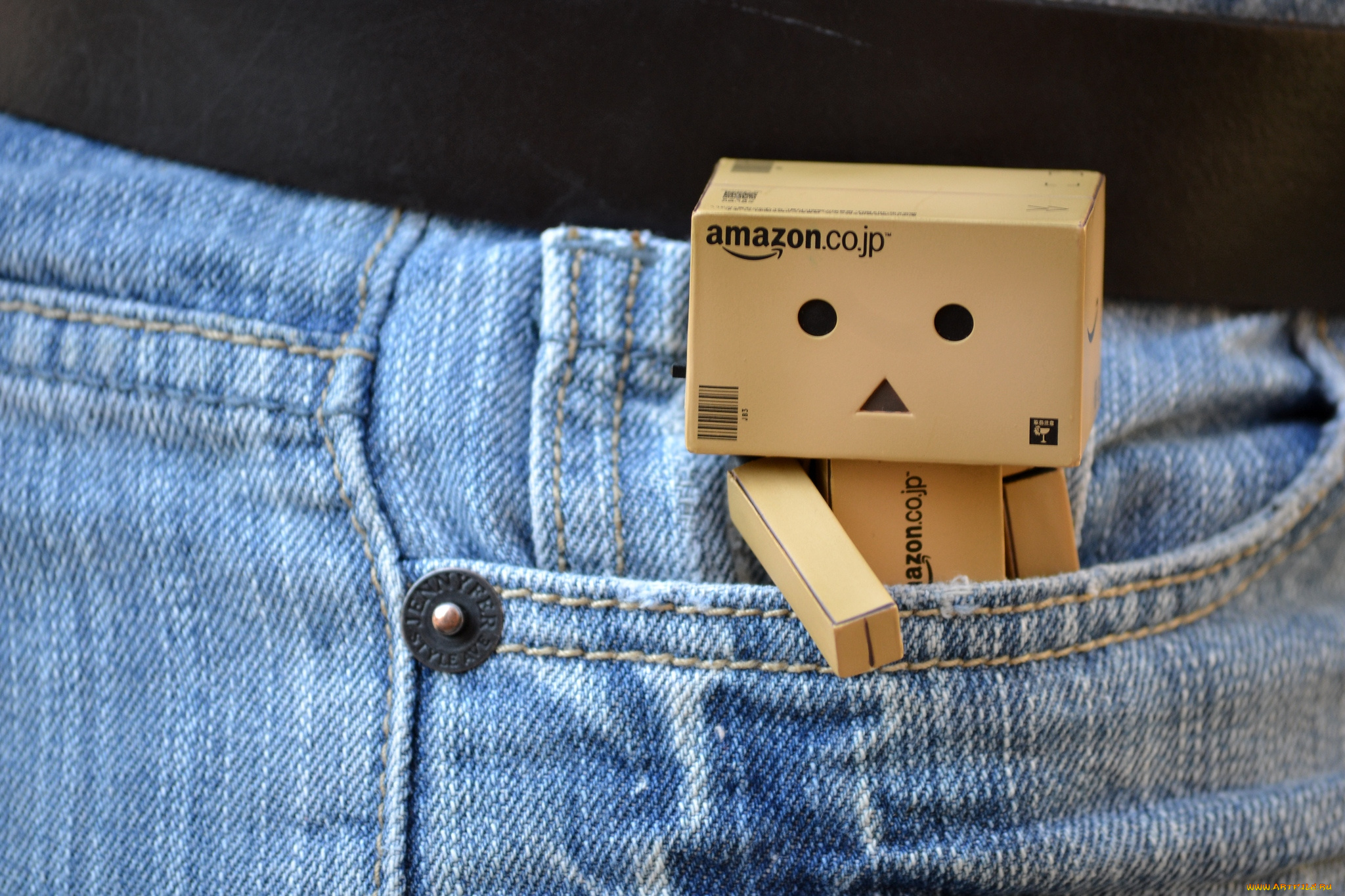 разное, данбо, danboard, джинсы, карман, коробочка