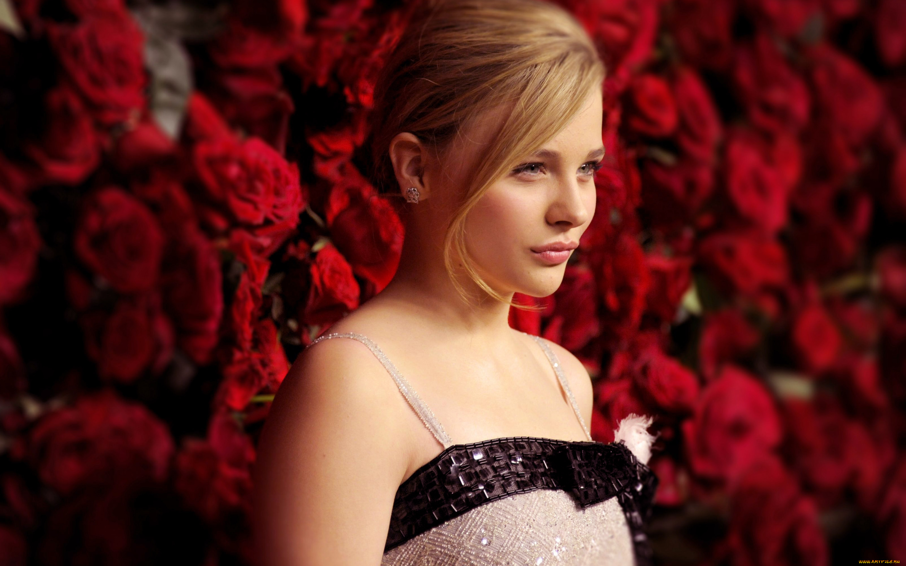 Chloe, Grace, Moretz, девушки, , цветы, актриса, розы