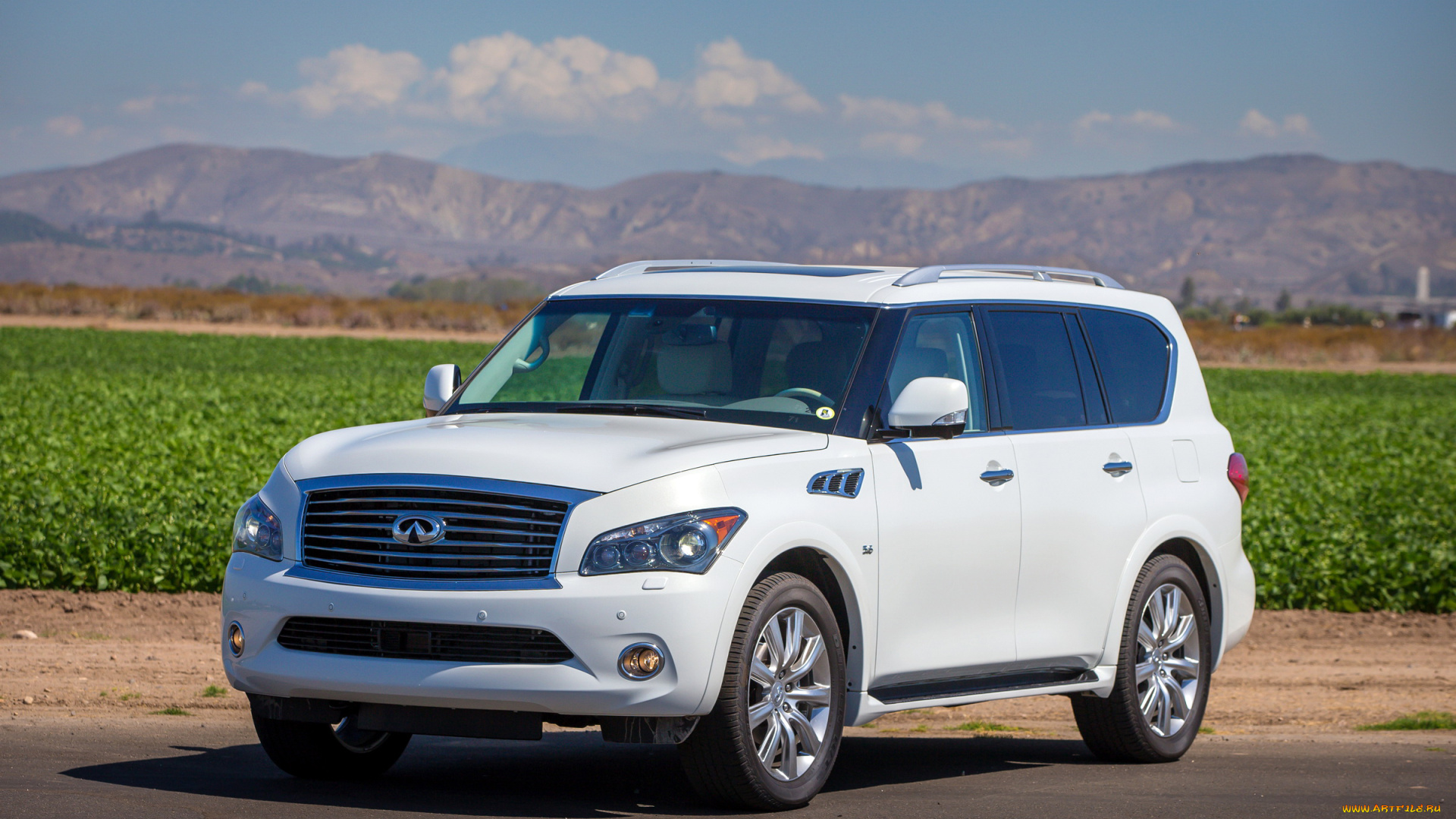 2014, infiniti, qx80, автомобили, infiniti, дорога, белый