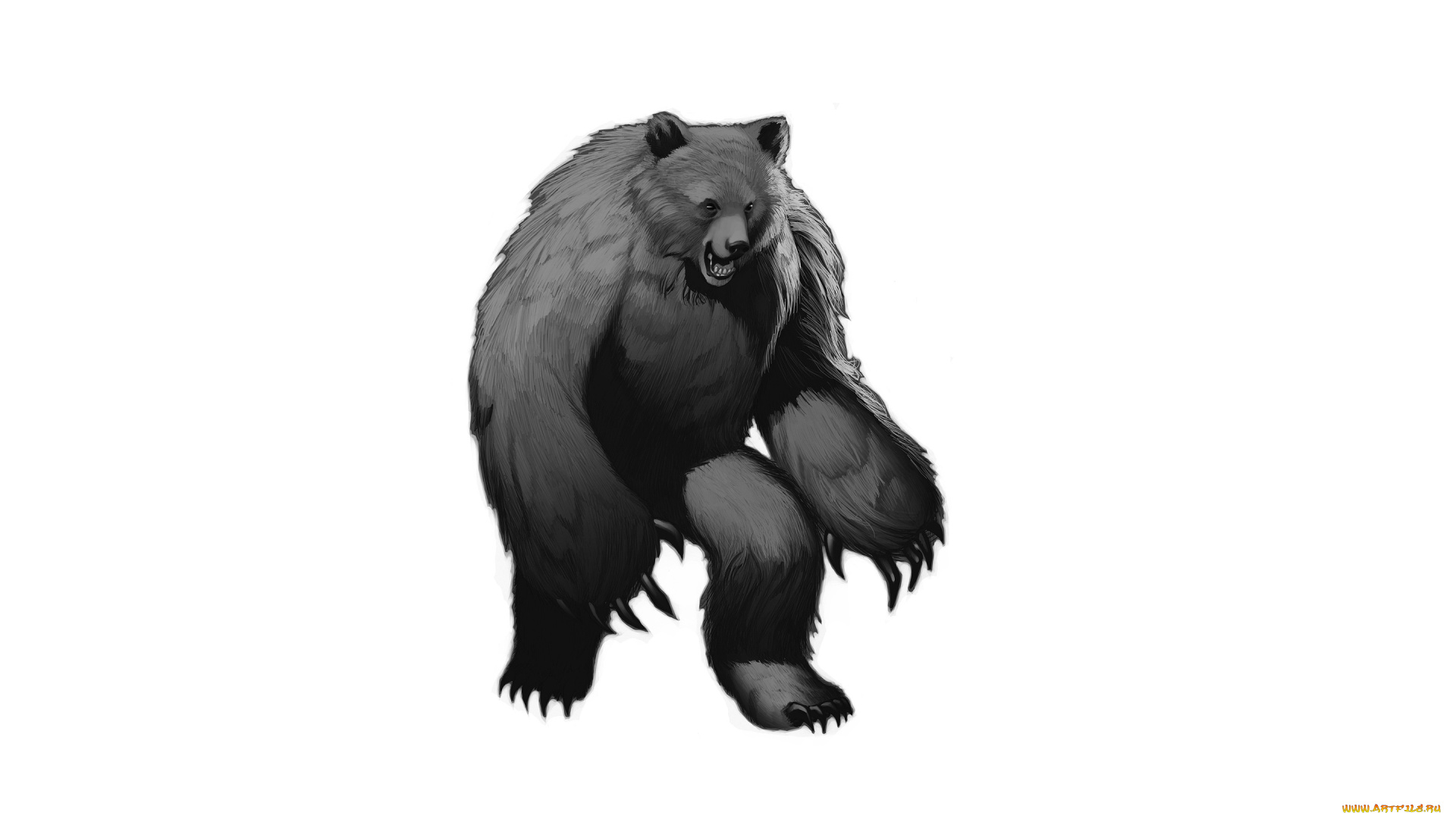медведь, рисованные, животные, , медведи, bear