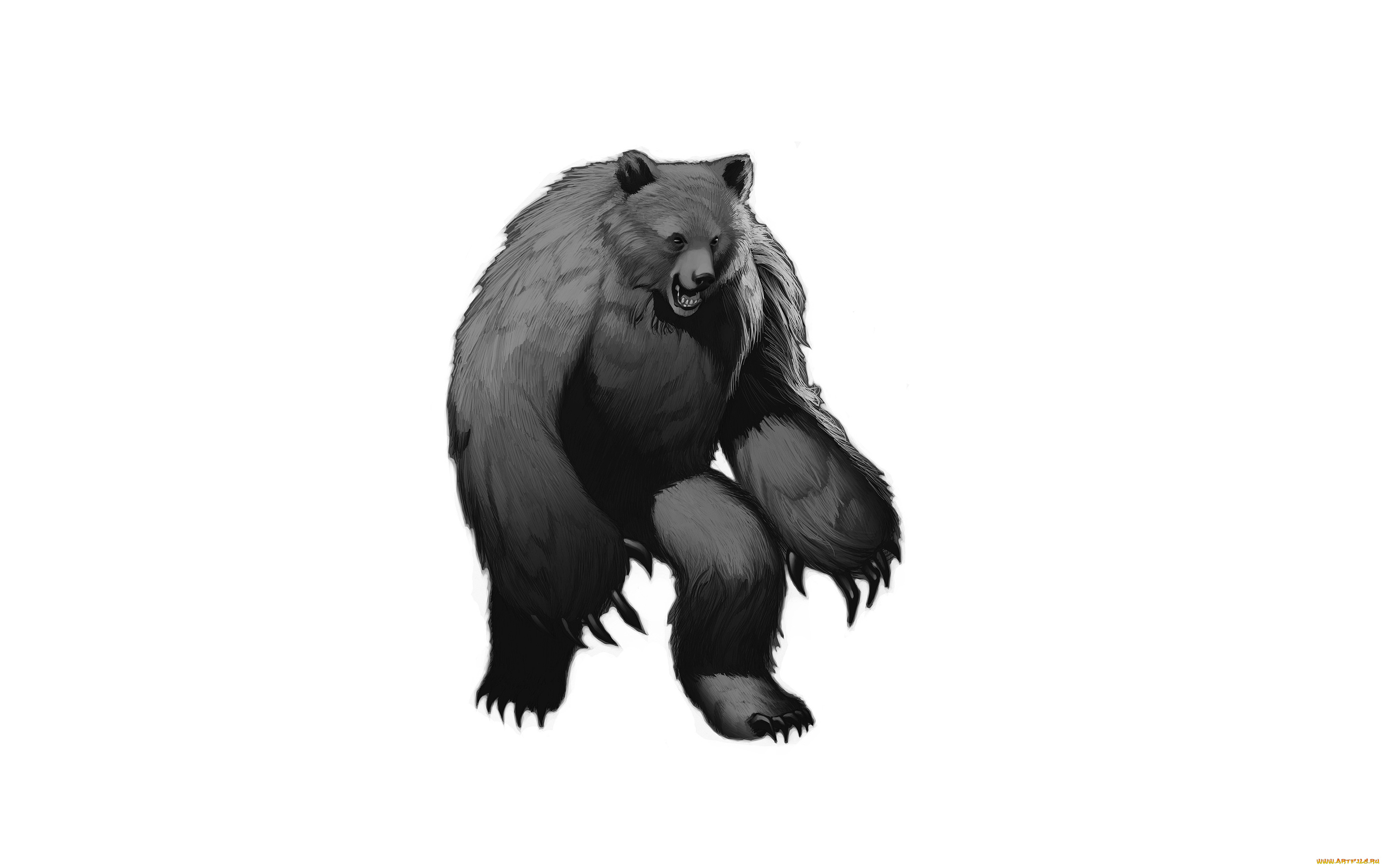 медведь, рисованные, животные, , медведи, bear