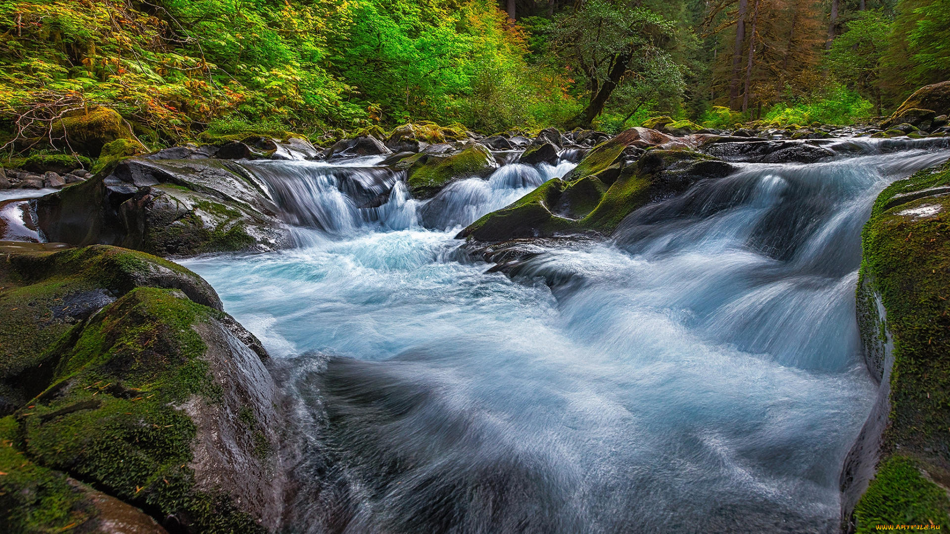 природа, водопады, водопад, река, лес