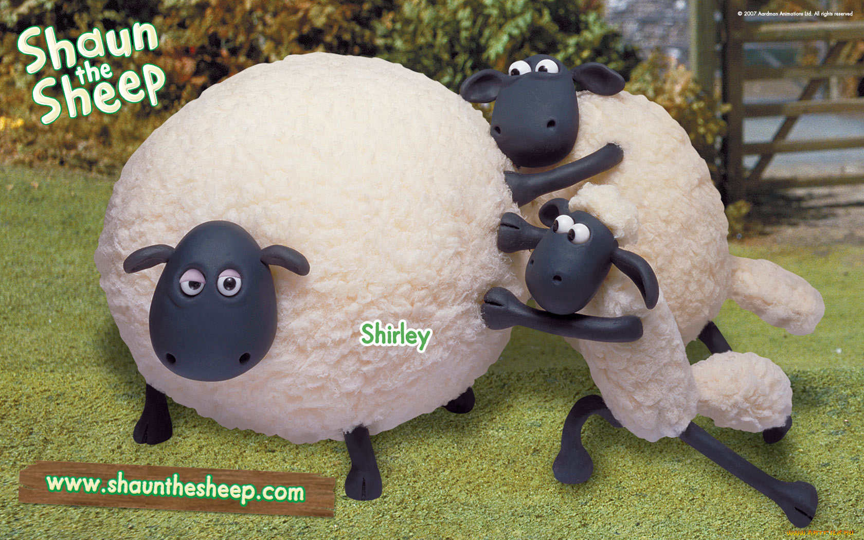 мультфильмы, shaun, the, sheep