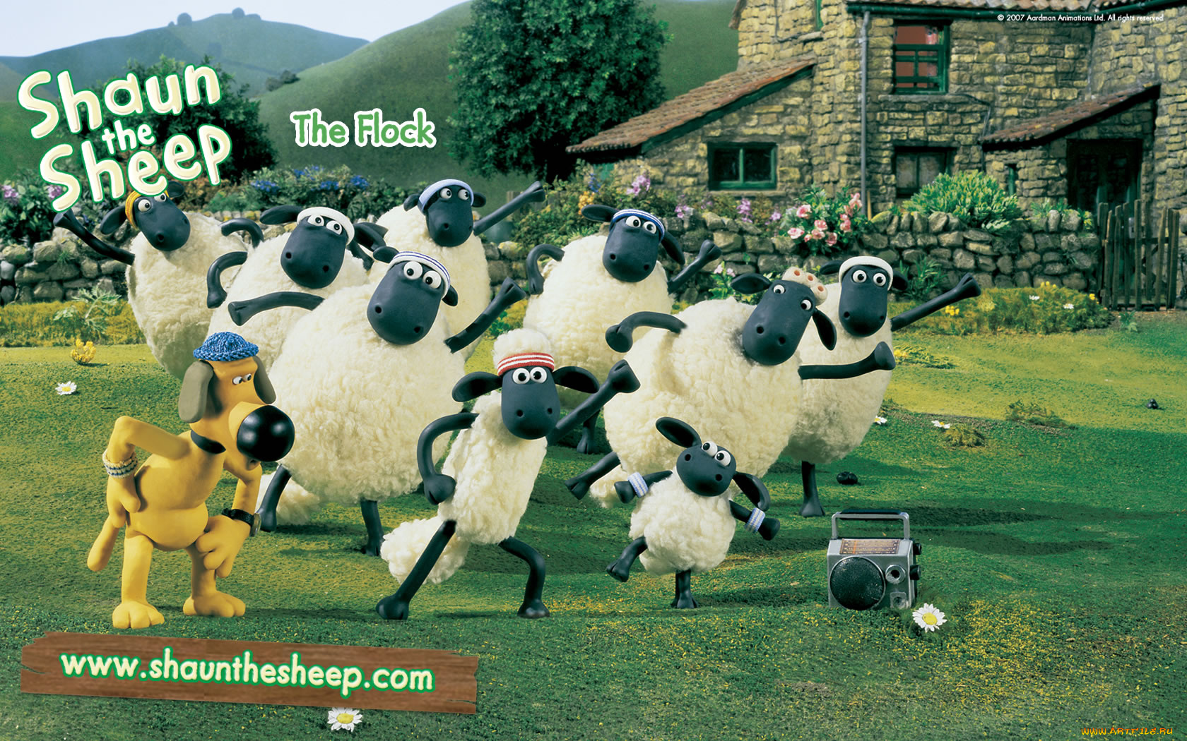 мультфильмы, shaun, the, sheep