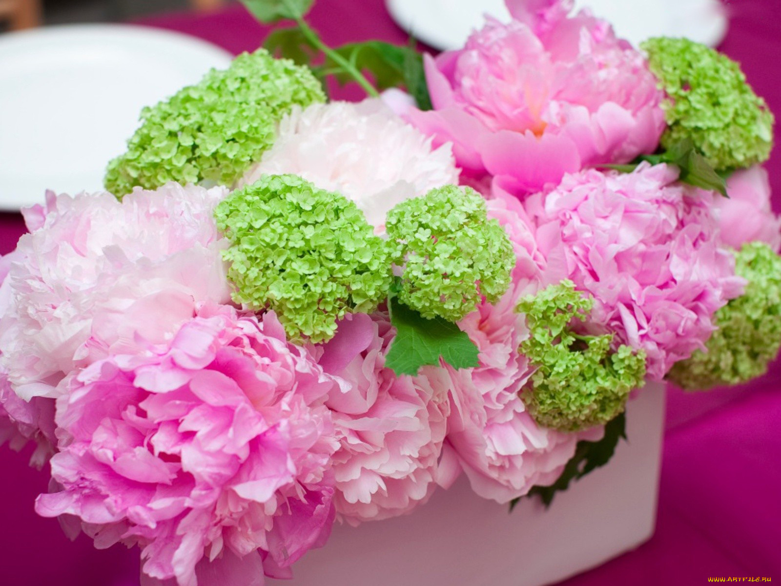 цветы, букеты, композиции, розовый, зеленый