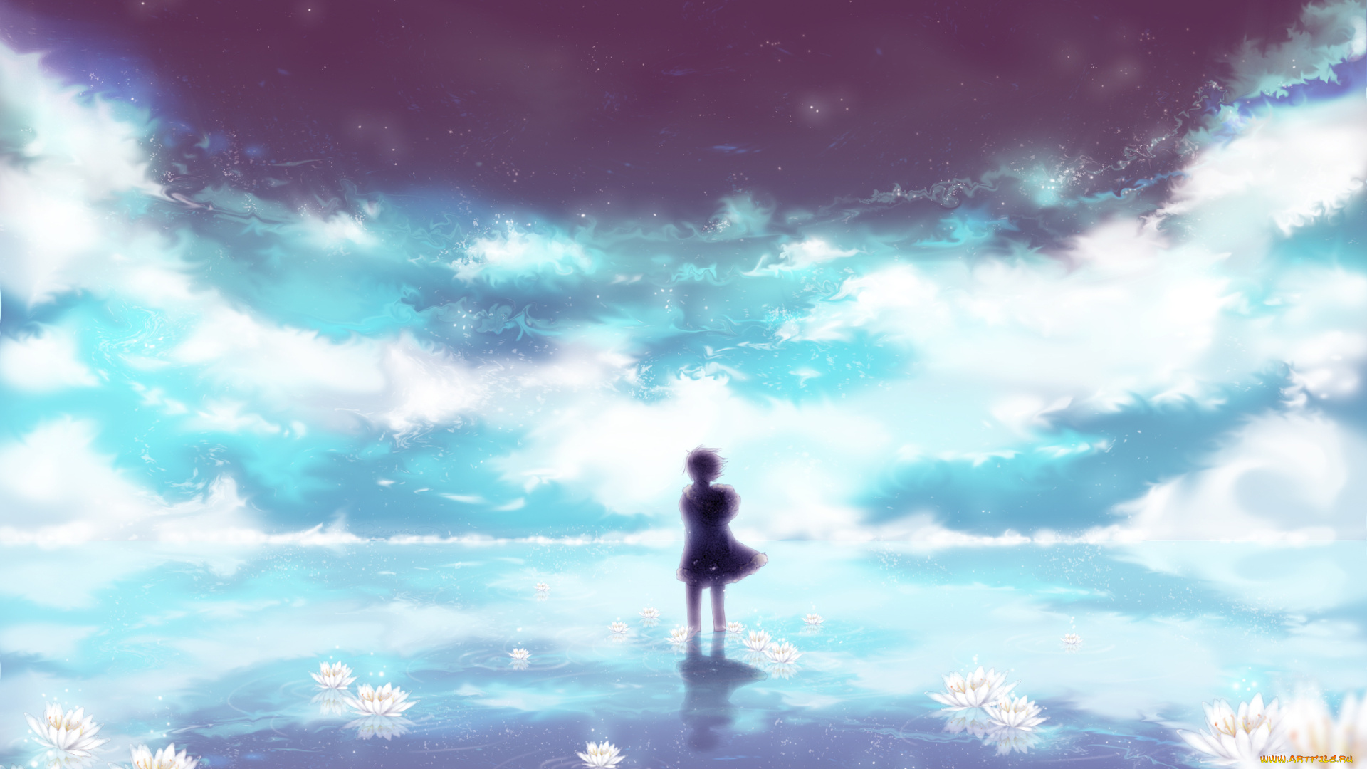 аниме, dyurarara, небо, силуэт, парень, орихара, изая, звёзды, облака, вода, цветы, водяные, лилии