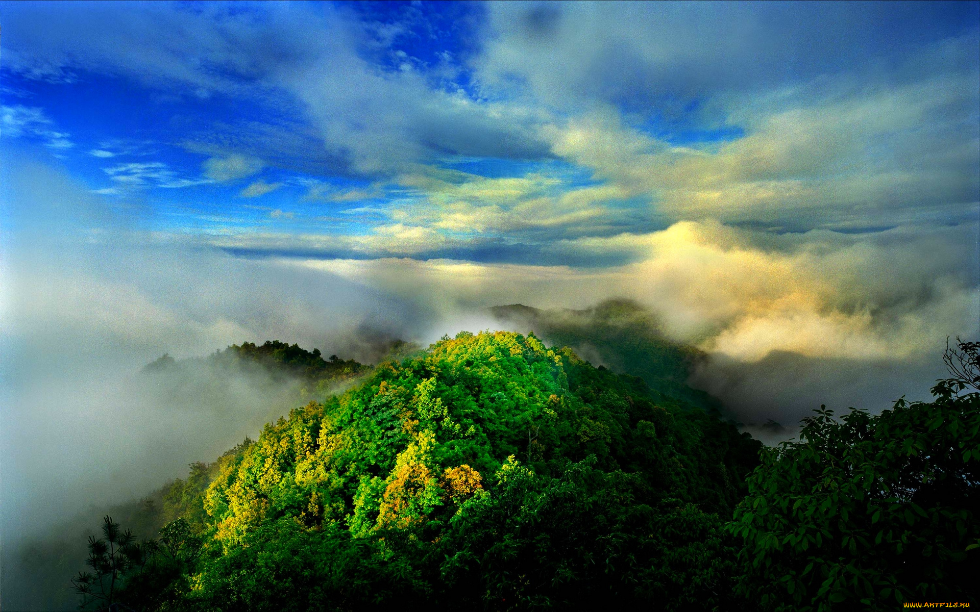 mountain, fog, природа, горы, вершина, туман