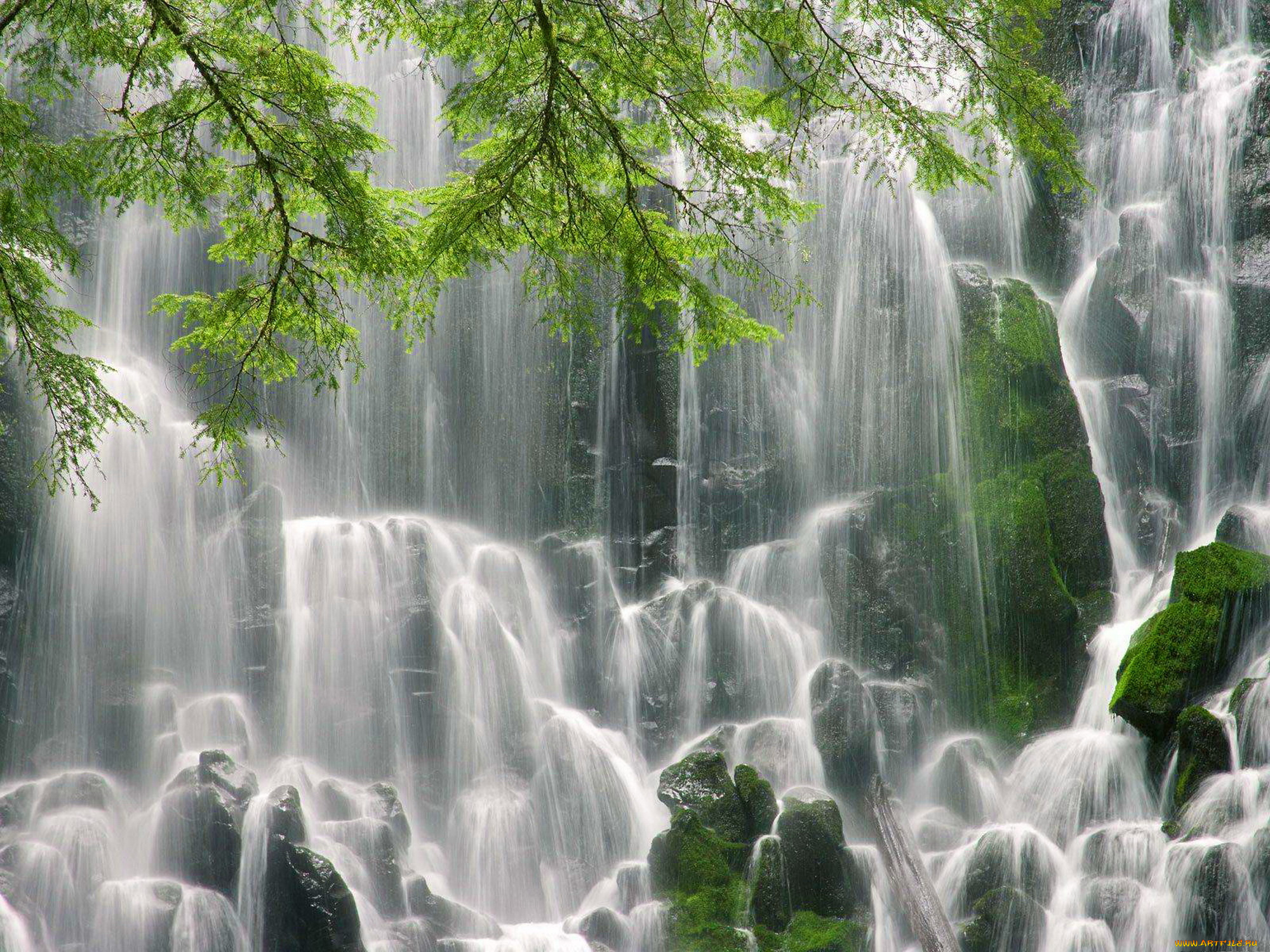 водопад, рамона, природа, водопады, оригон, ветви, камни, мох