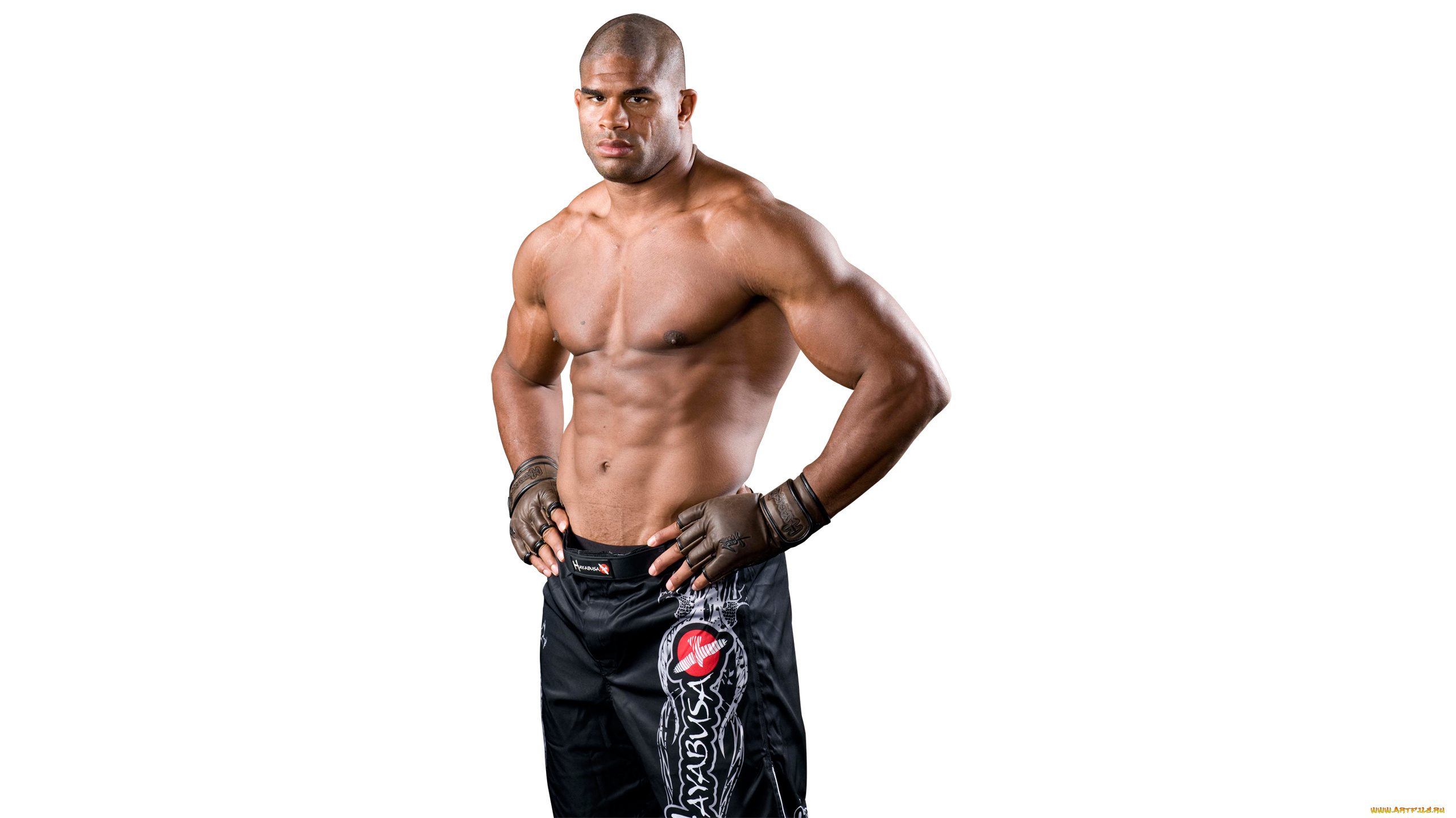 alistar, overeem, мужчины, кикбоксёр, боец