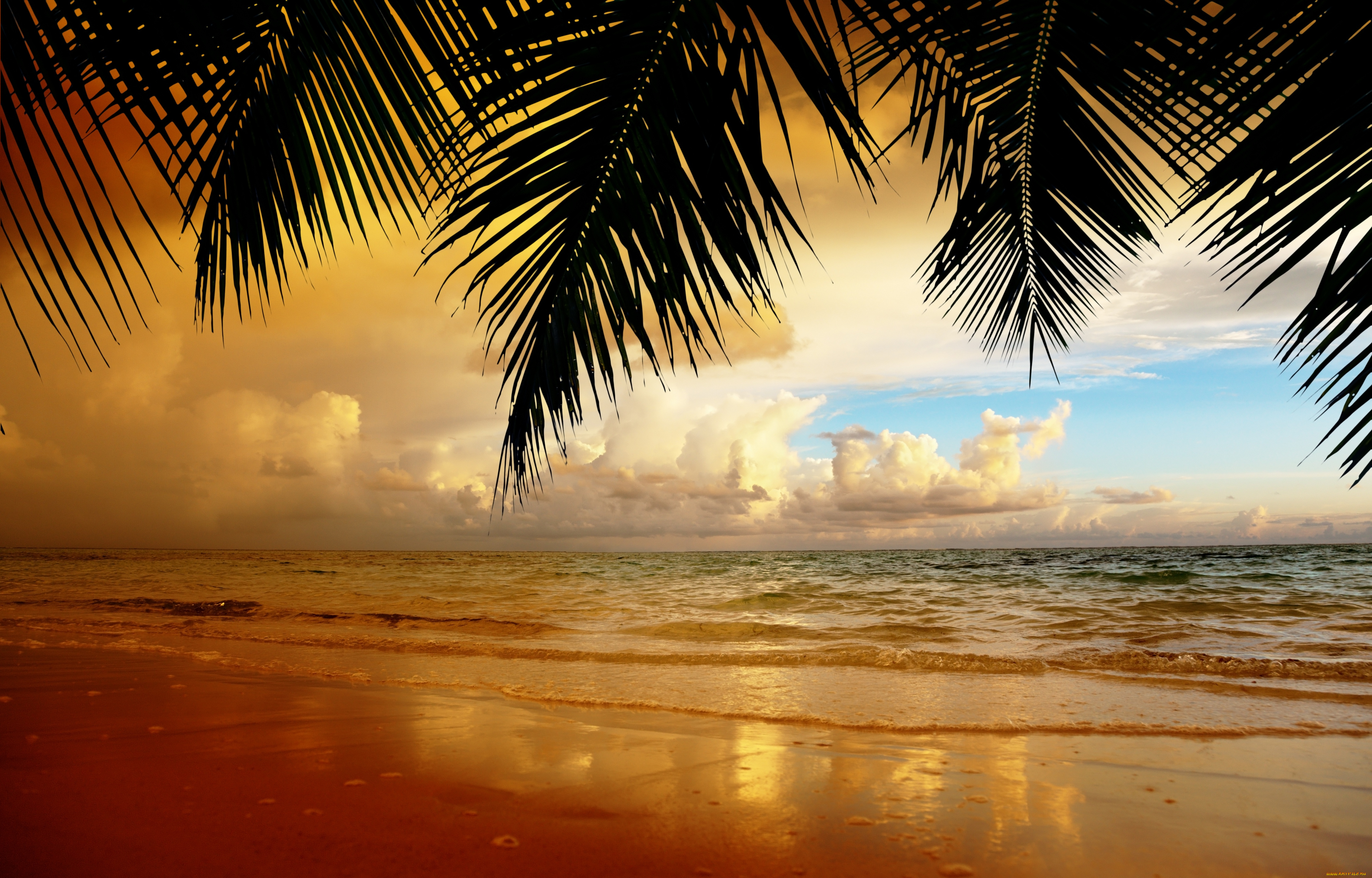природа солнечный свет солнце море пляж песок горизонт загрузить