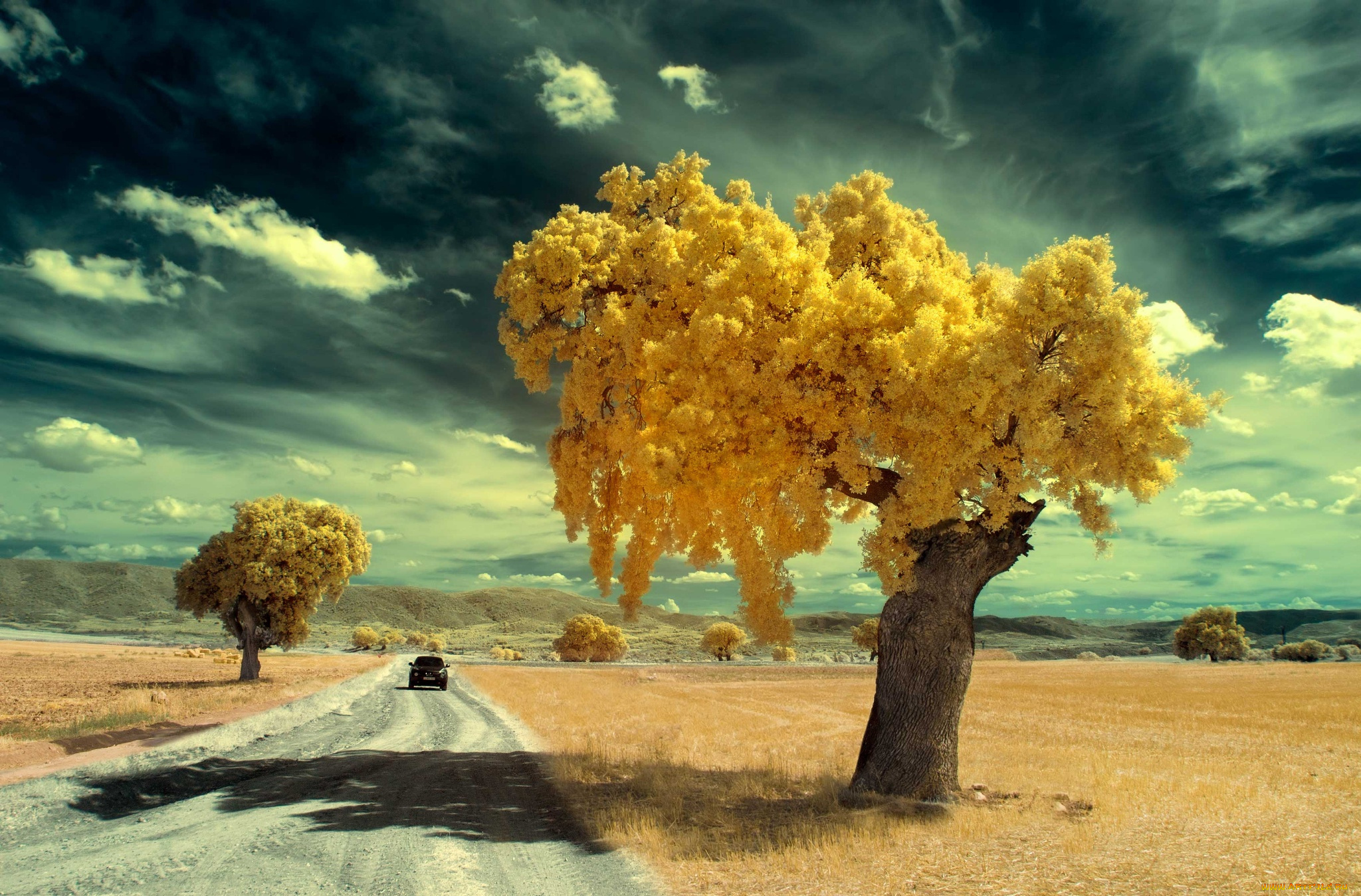 природа, дороги, дорога, машина, деревья, осень
