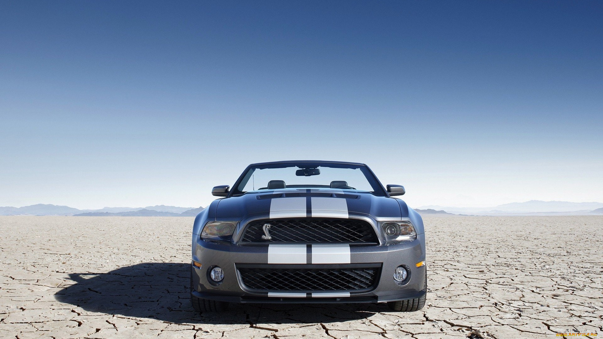 ford, shelby, автомобили, mustang