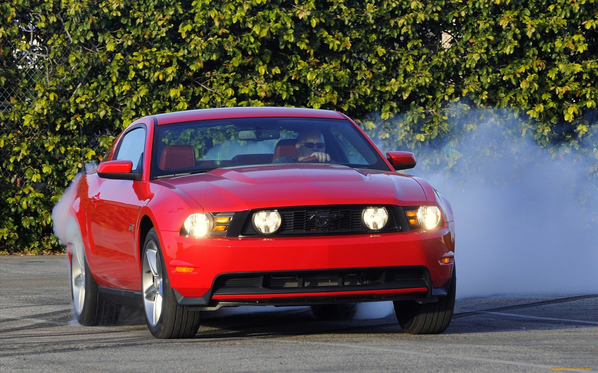 ford, mustang, автомобили