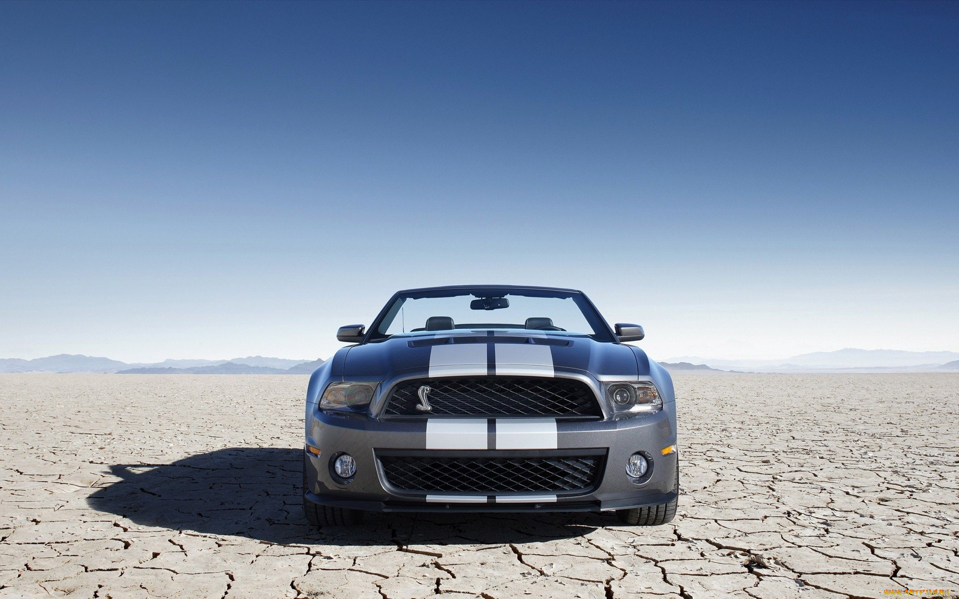 ford, shelby, автомобили, mustang