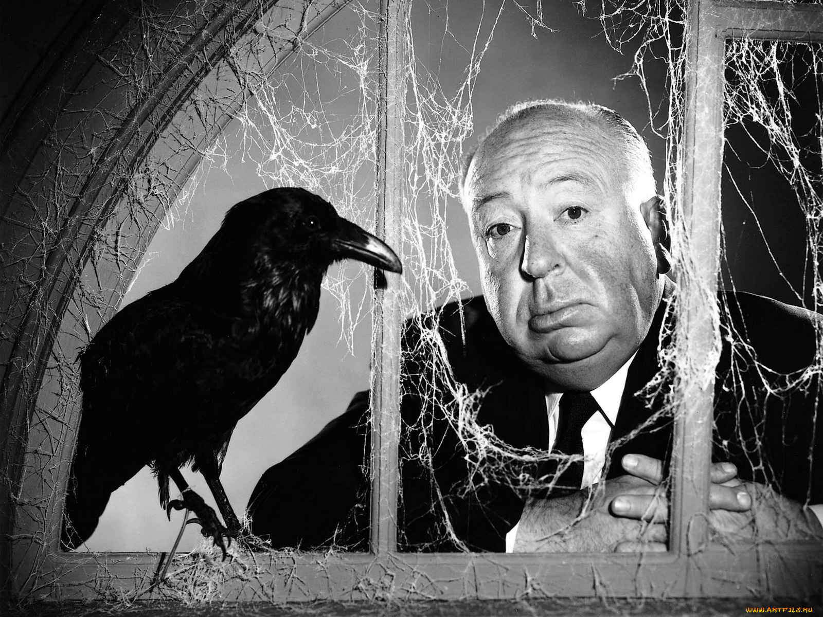 alfred, hitchcok, мужчины, режиссер