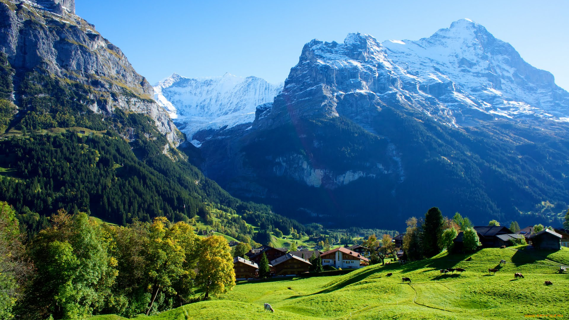 города, пейзажи, grindelwald, швейцария