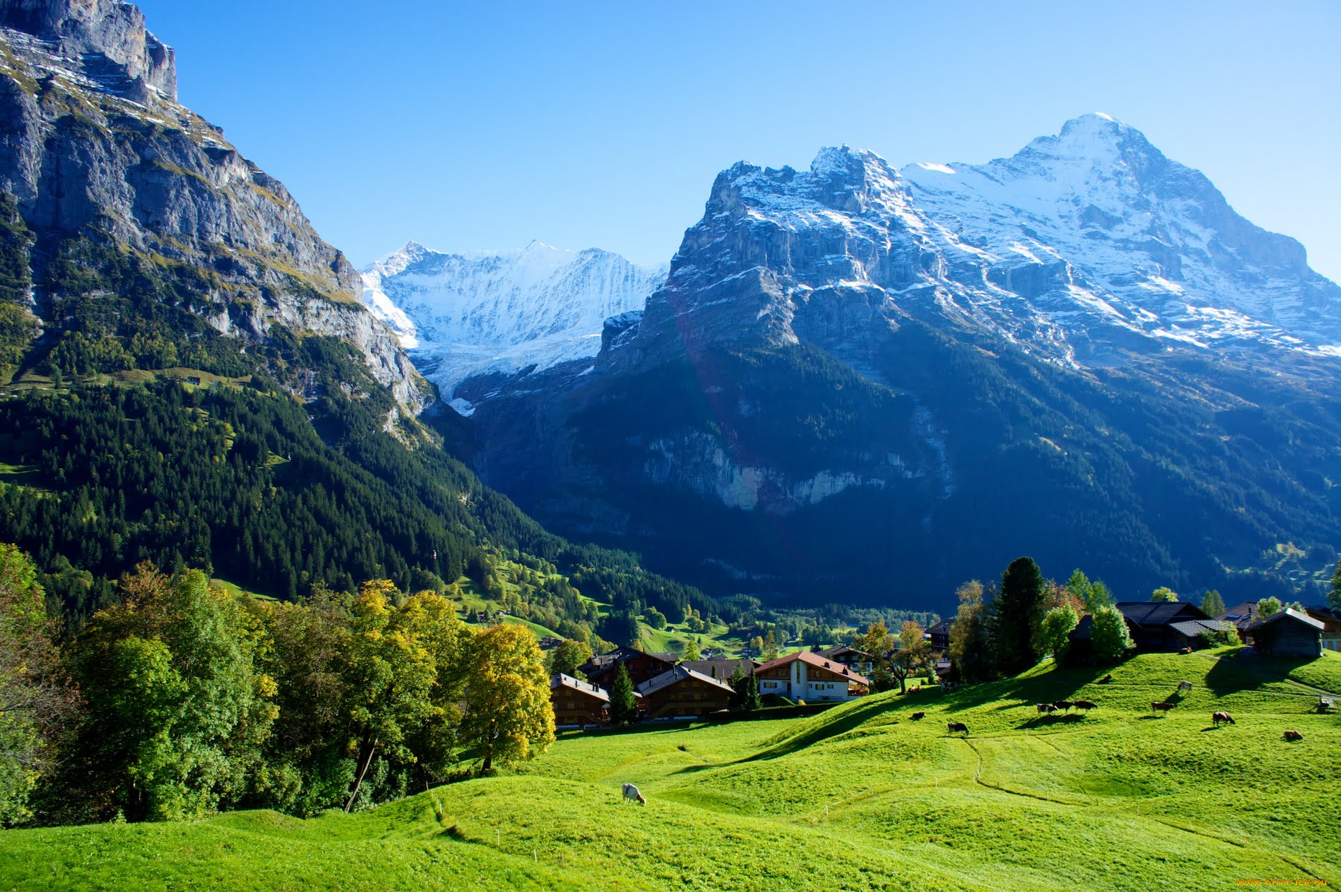 города, пейзажи, grindelwald, швейцария