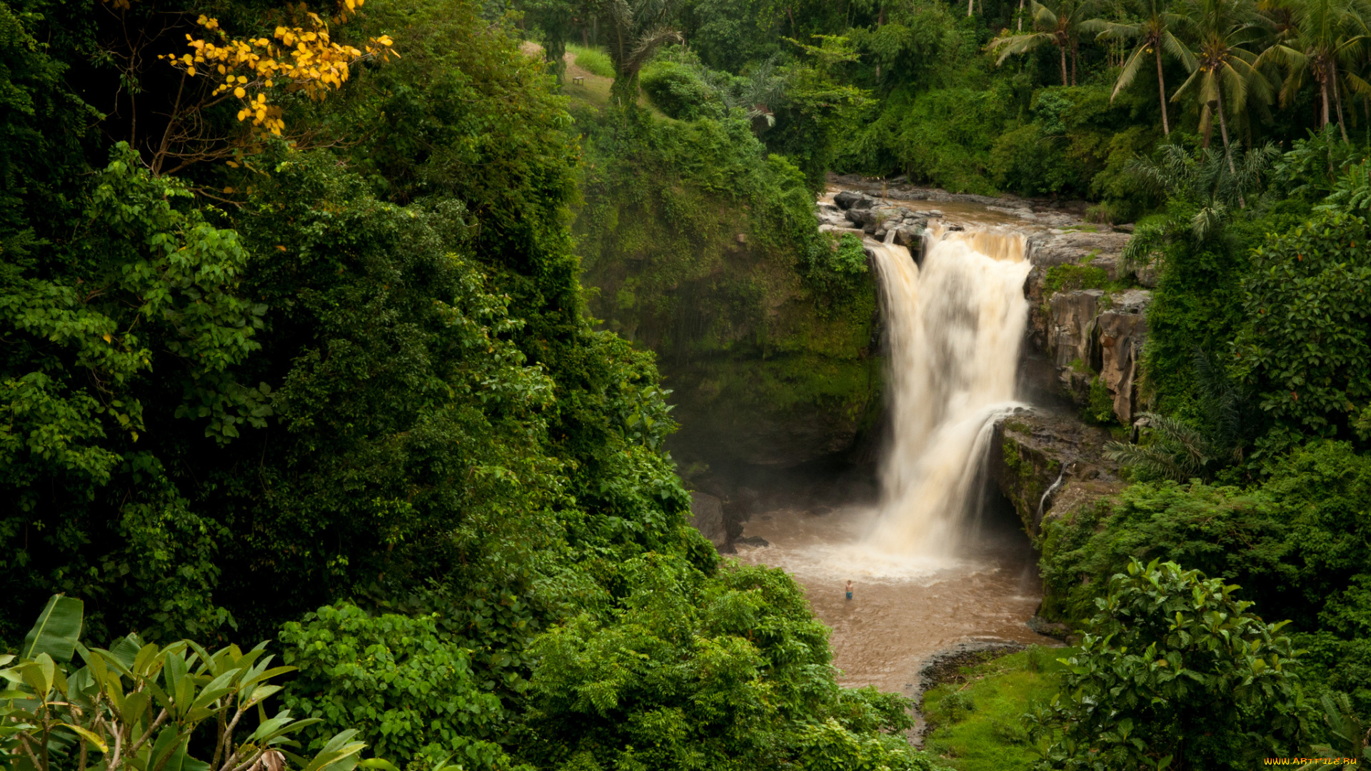 tegenungan, waterfall, bali, indonesiа, природа, водопады, бали, индонезия, джунгли, лес, пальмы, скала