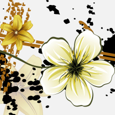 Картинка векторная графика лепестки цветы